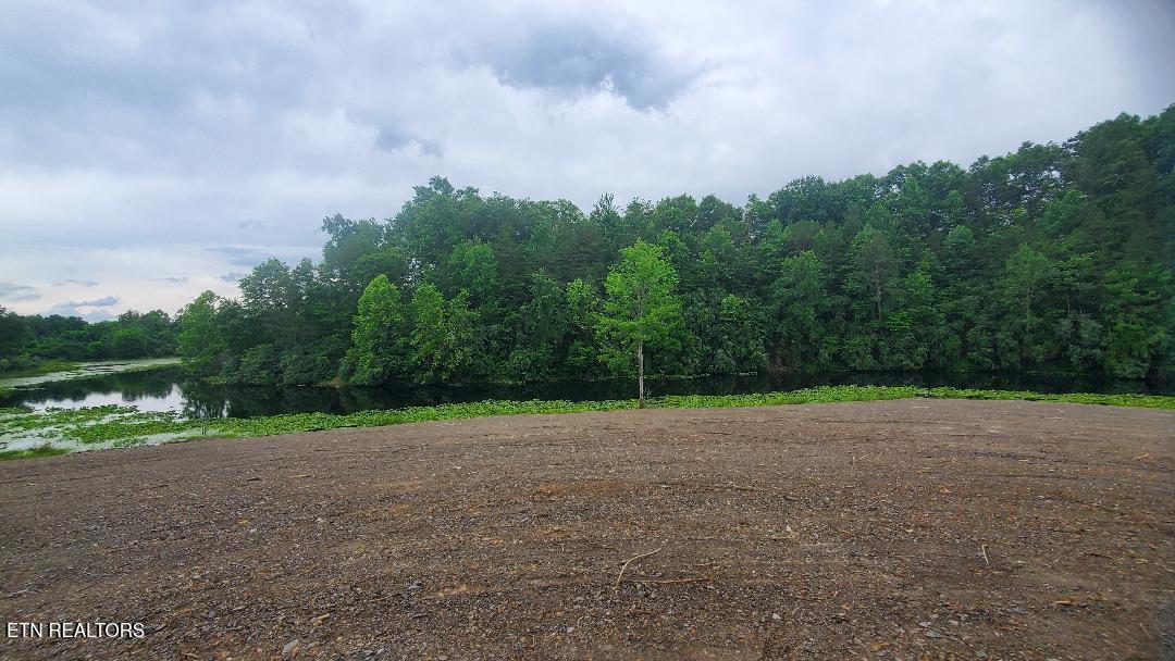 2036 Helenwood Detour Road Helenwood TN 37755