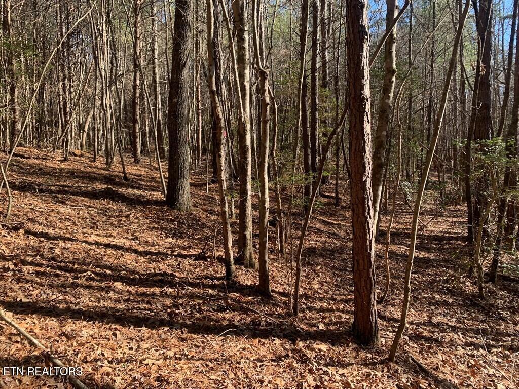 Tract 1 Lone Wolf Trail Spencer TN 38585
