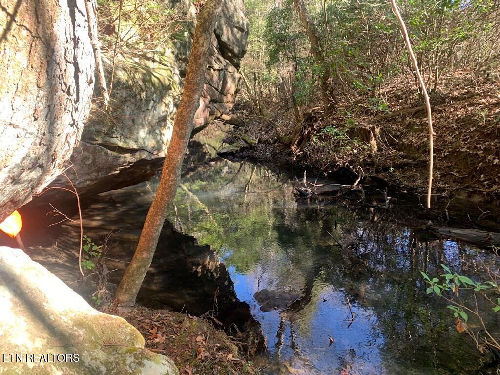 Tract 1 Lone Wolf Trail Spencer TN 38585