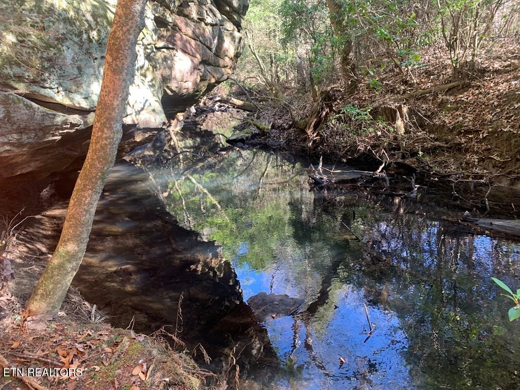 Tract 1 Lone Wolf Trail Spencer TN 38585