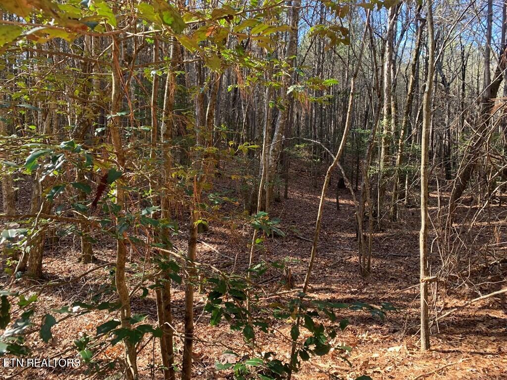 Tract 1 Lone Wolf Trail Spencer TN 38585