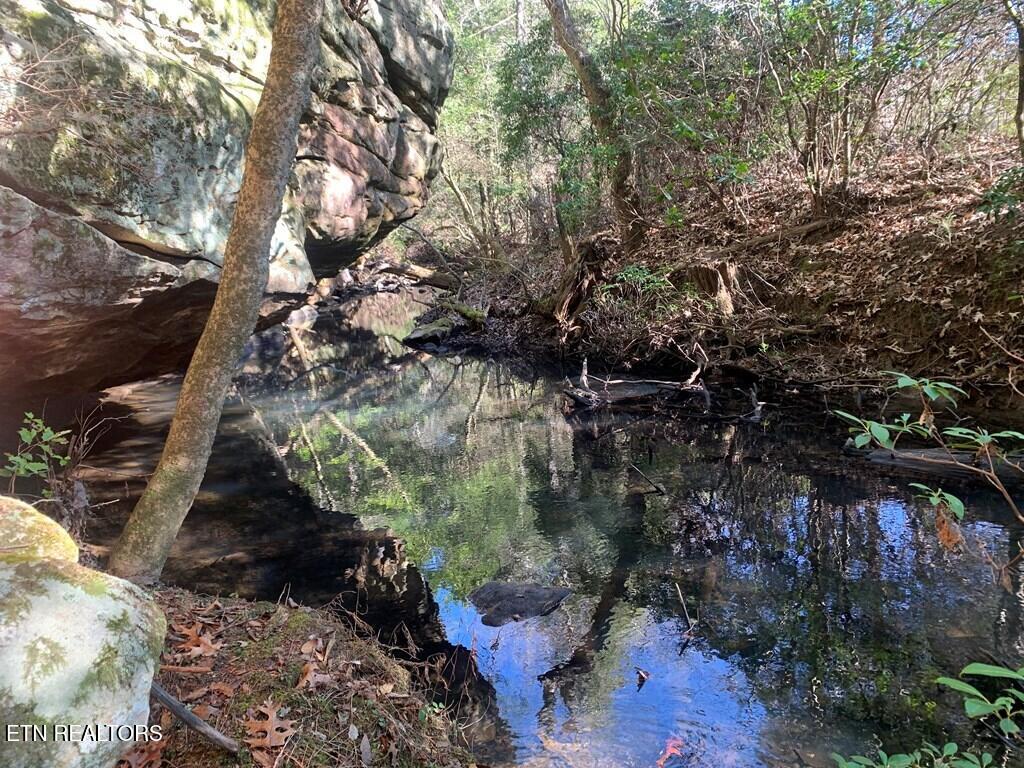 Tract 1 Lone Wolf Trail Spencer TN 38585