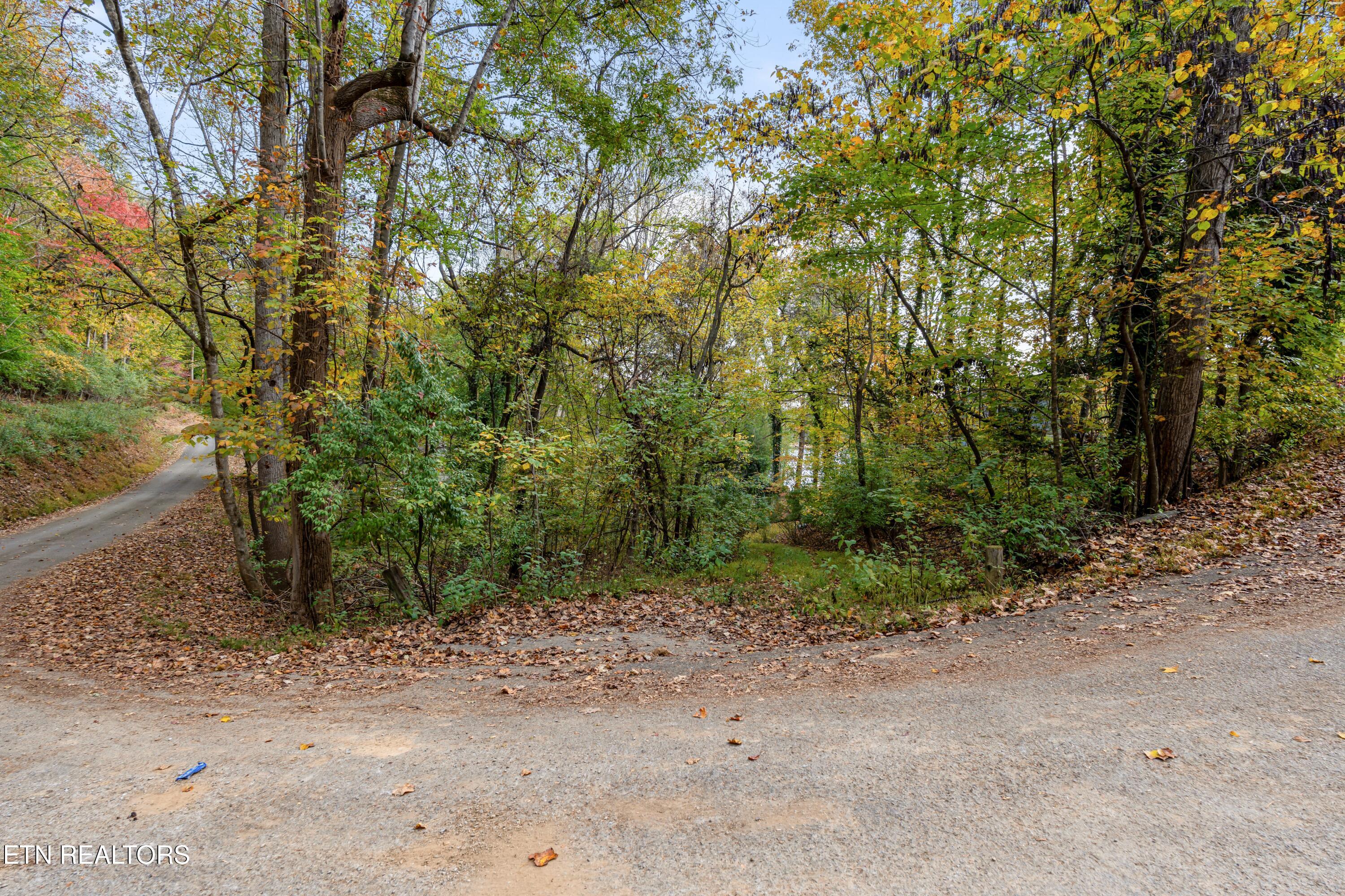 Engle Drive Andersonville TN 37705