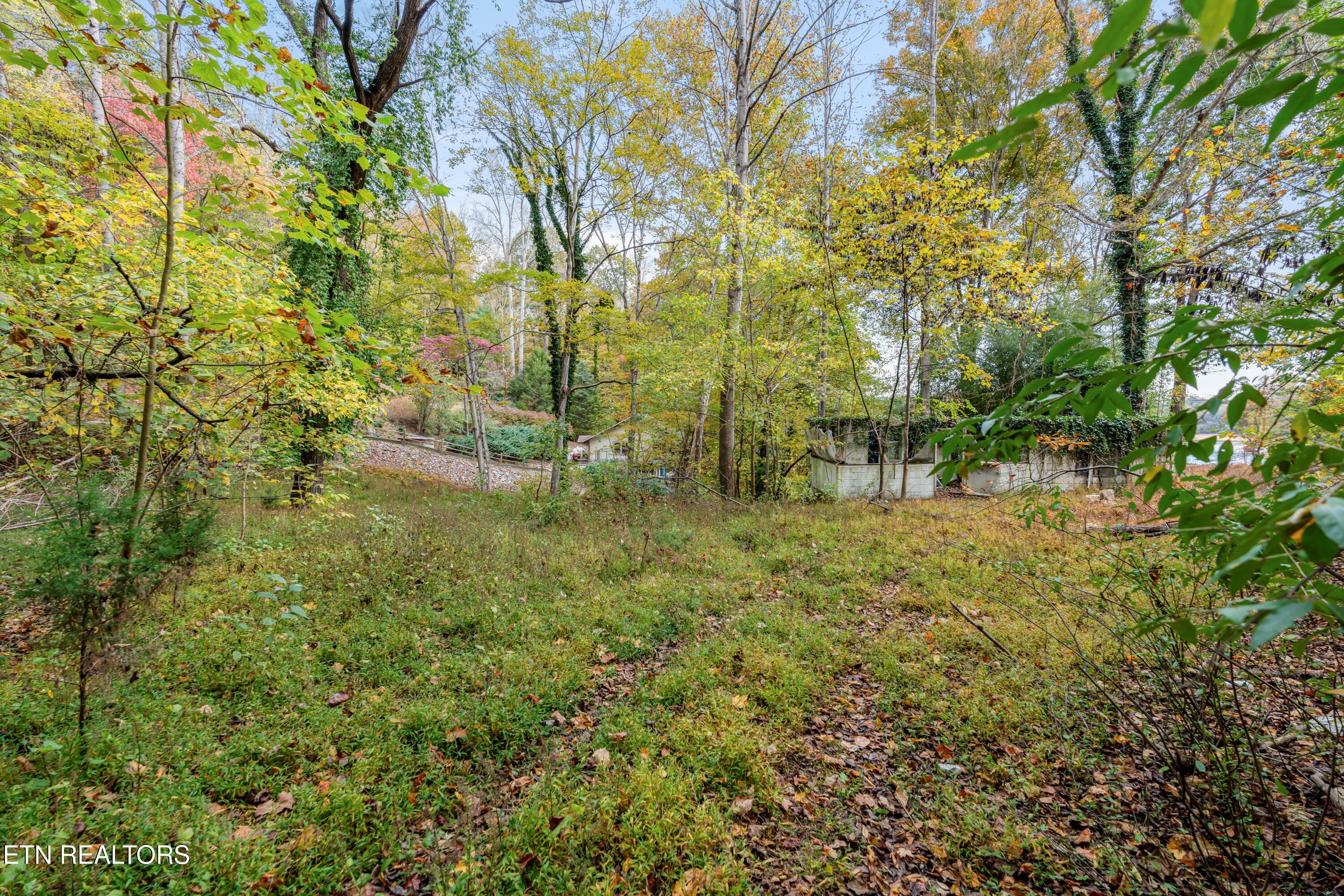 Engle Drive Andersonville TN 37705
