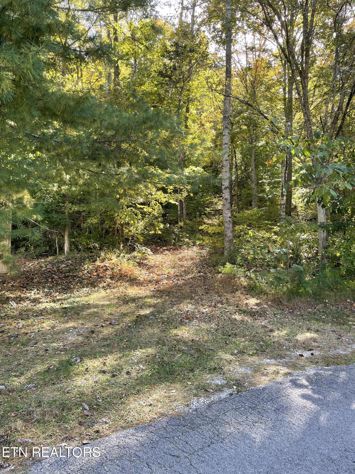 K D Lane Maynardville TN 37807