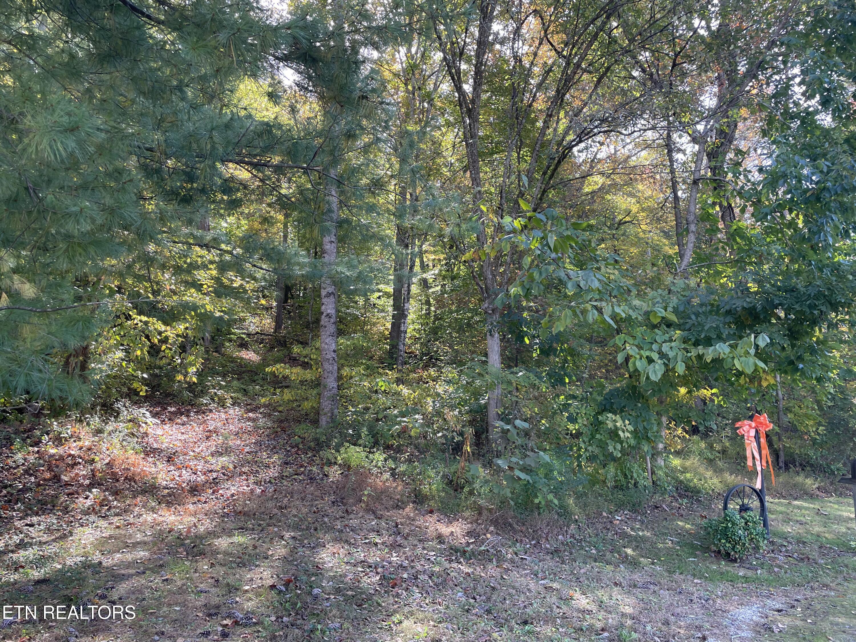K D Lane Maynardville TN 37807