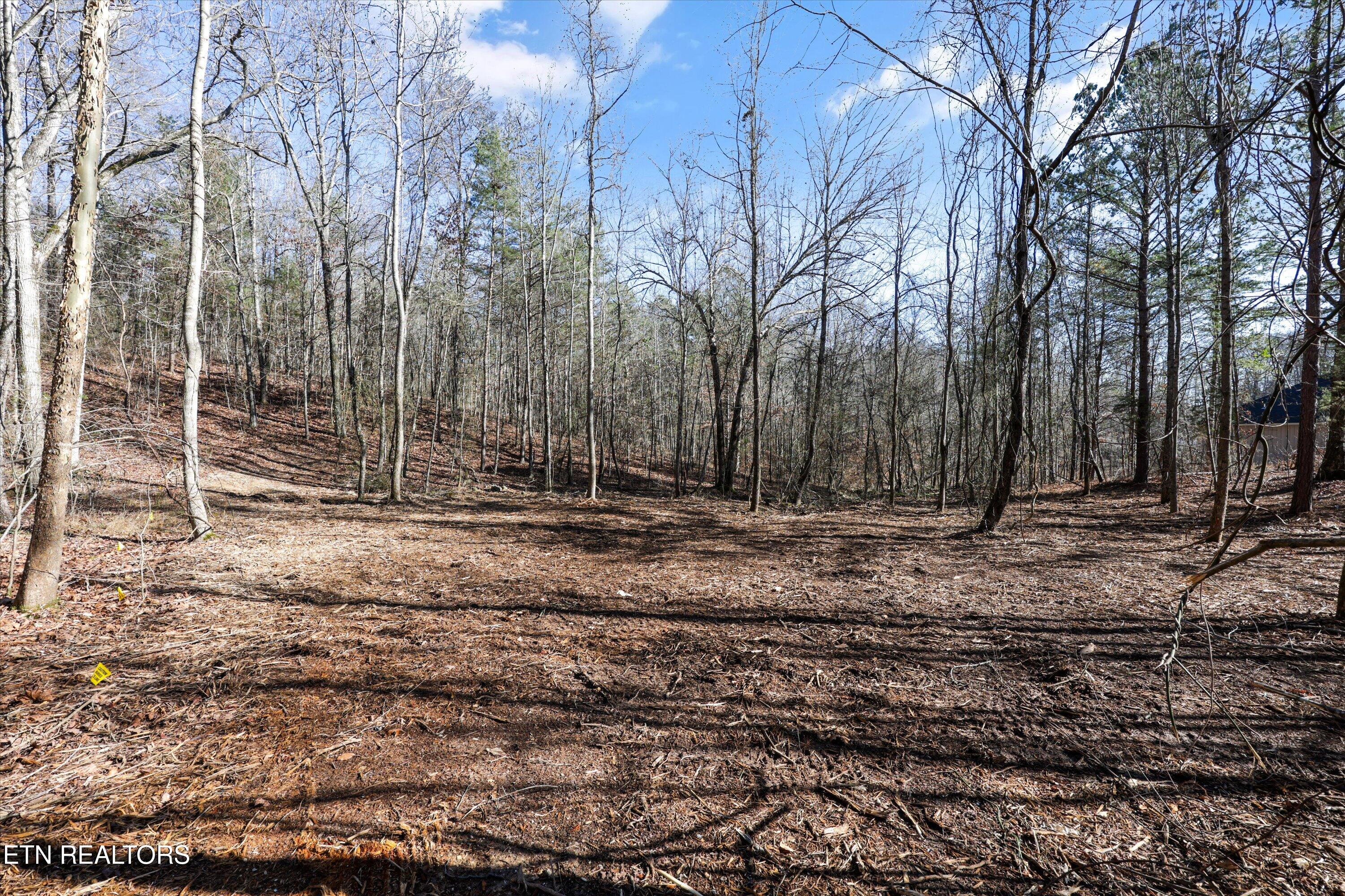 Sunrise Lane Decatur TN 37322