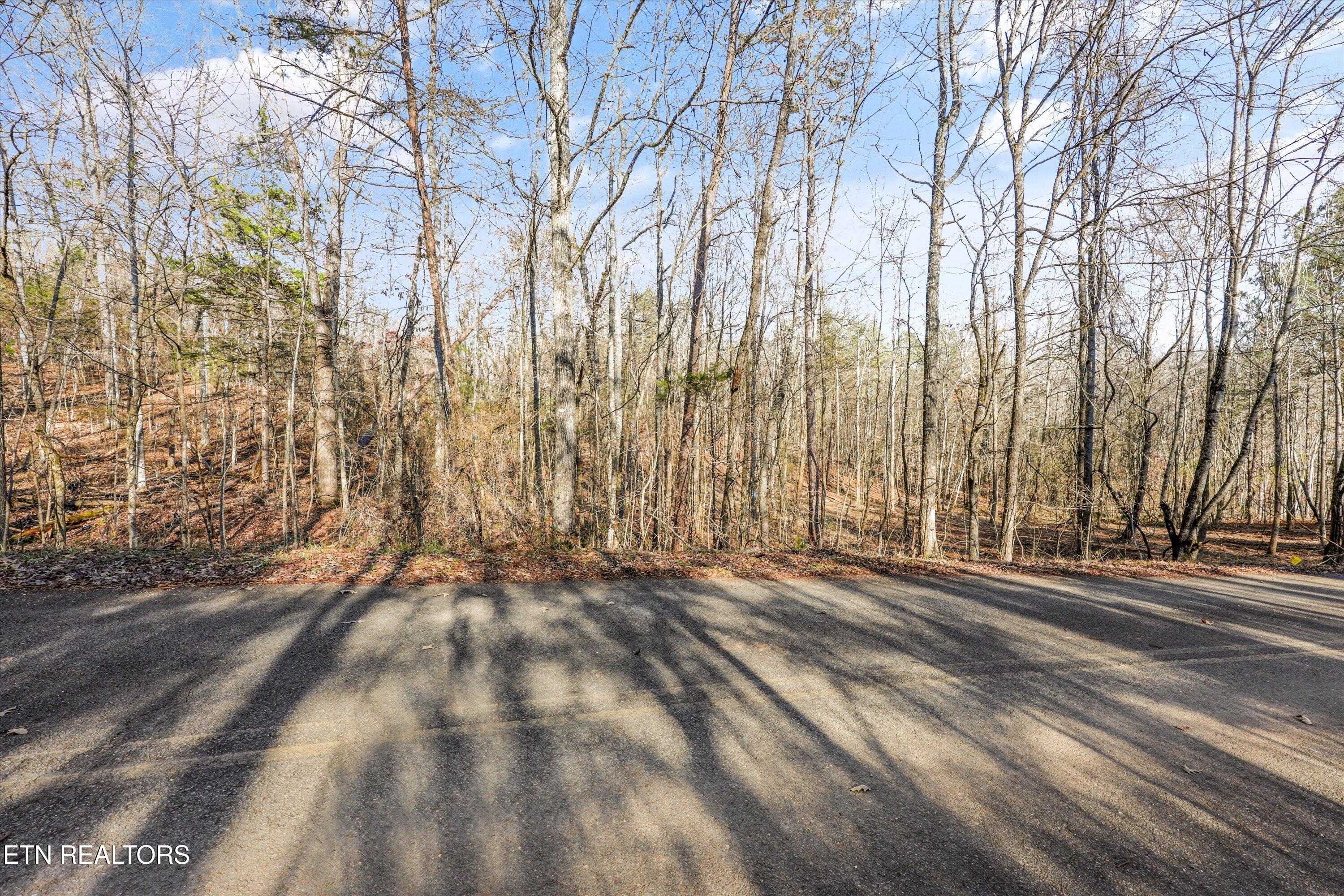 Sunrise Lane Decatur TN 37322