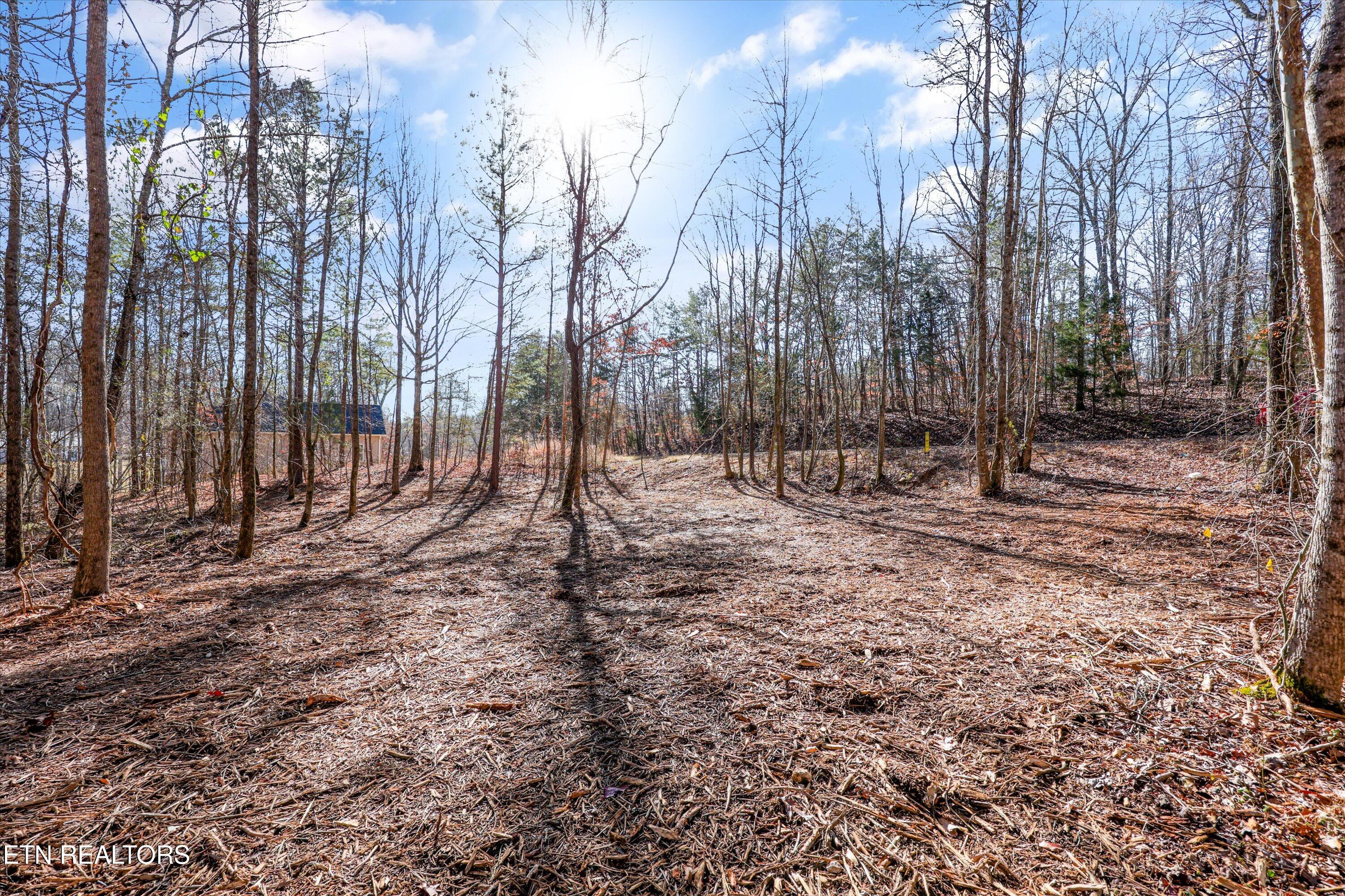 Sunrise Lane Decatur TN 37322