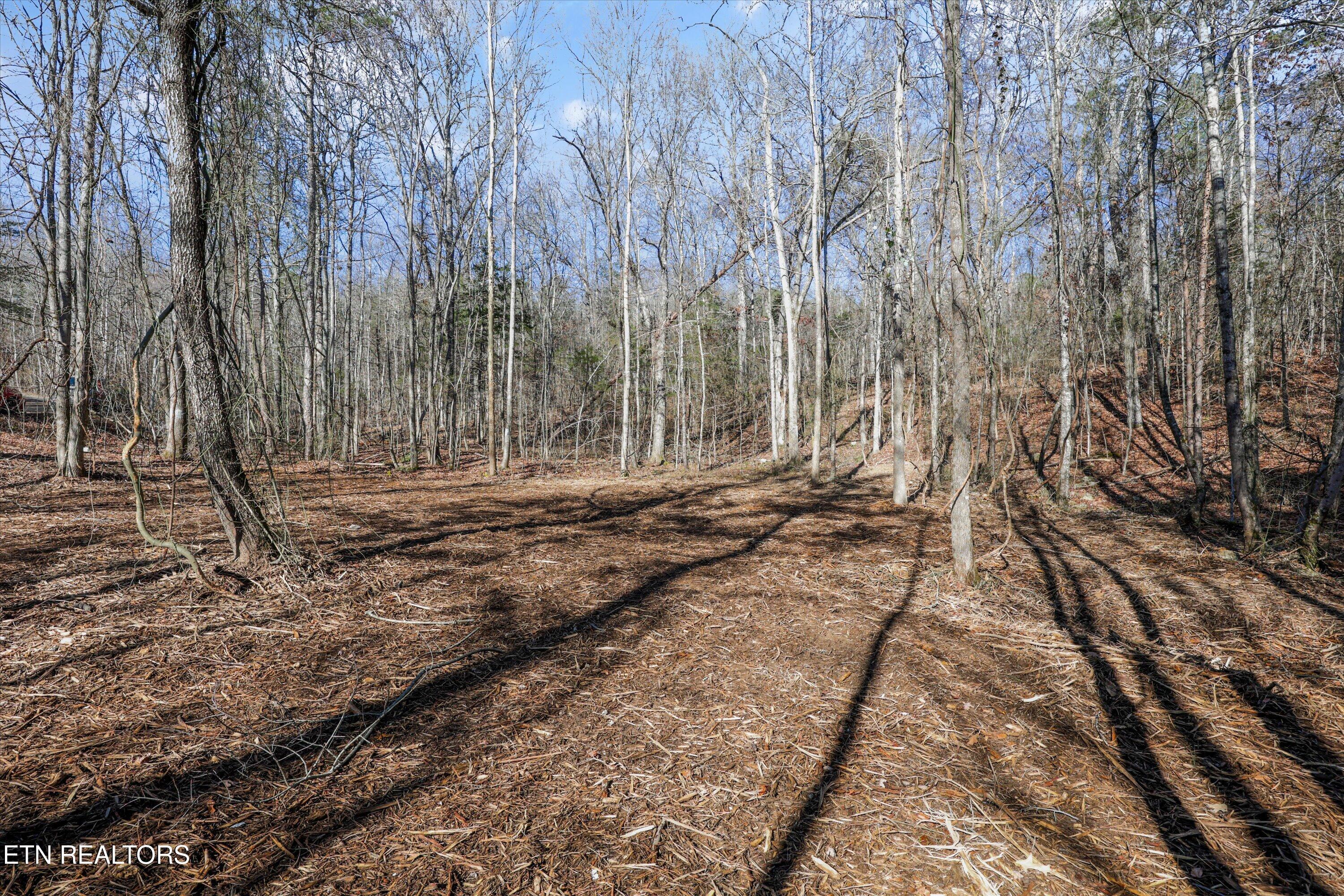 Sunrise Lane Decatur TN 37322