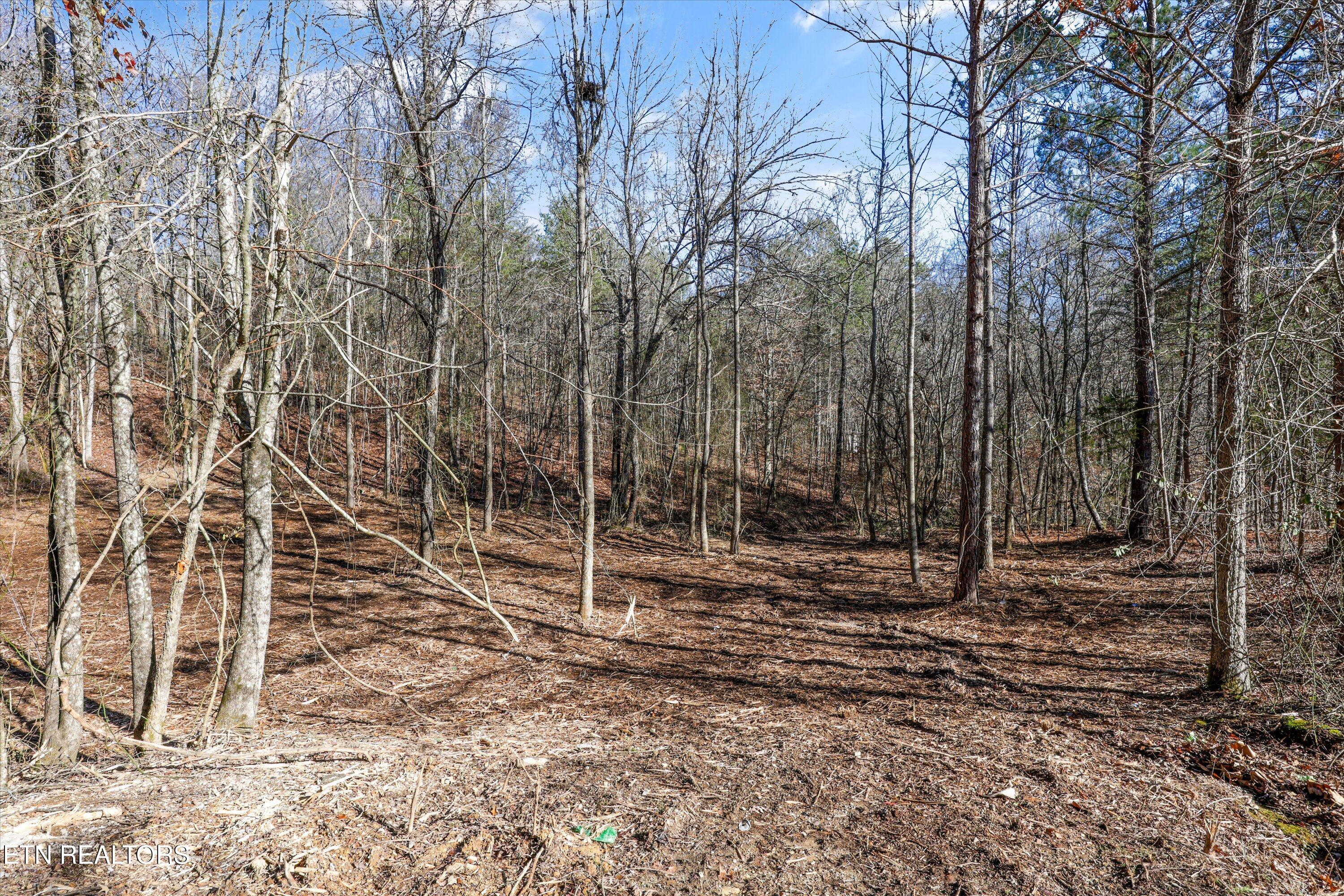 Sunrise Lane Decatur TN 37322