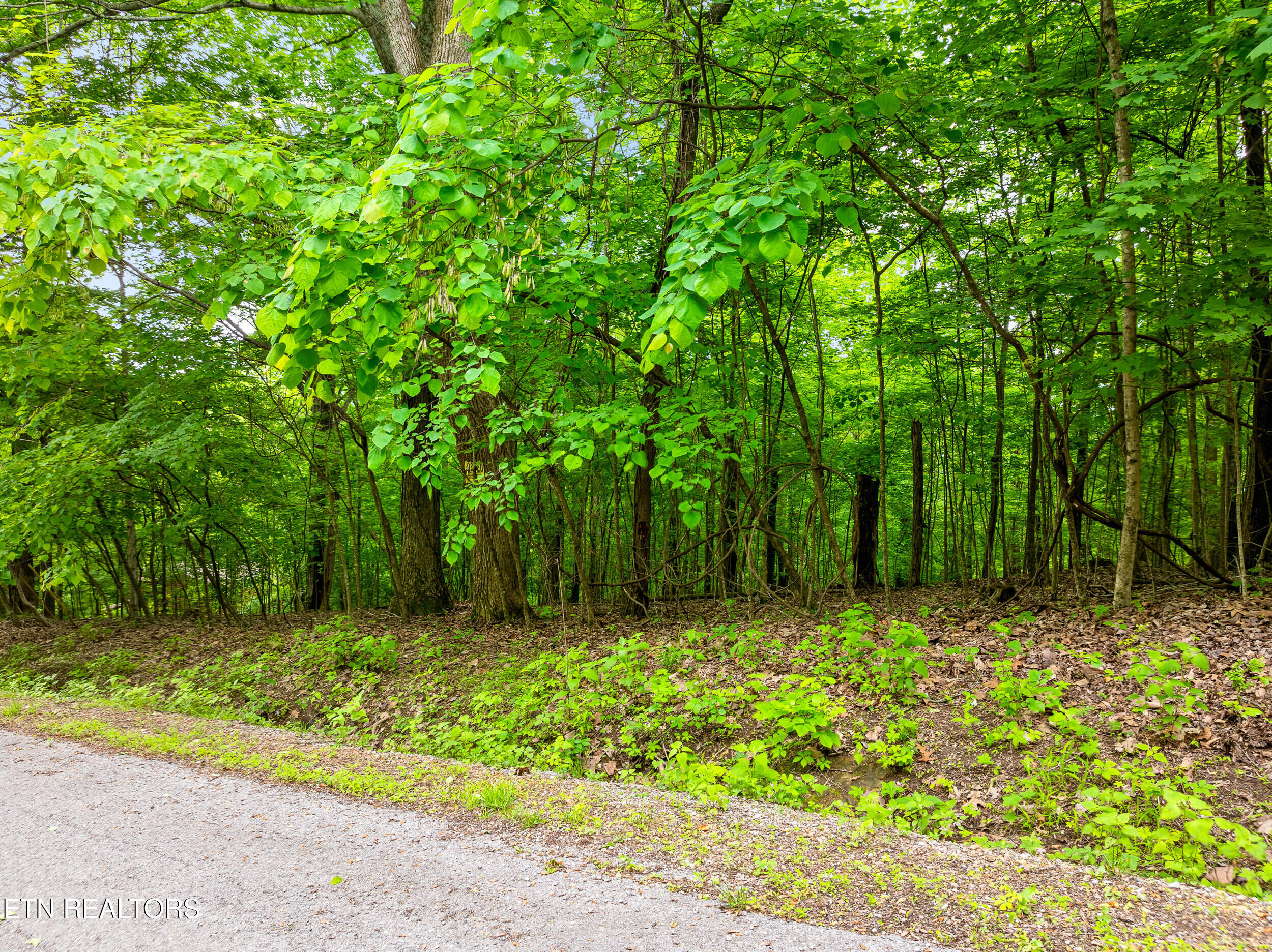 Running Deer Trail Caryville TN 37714