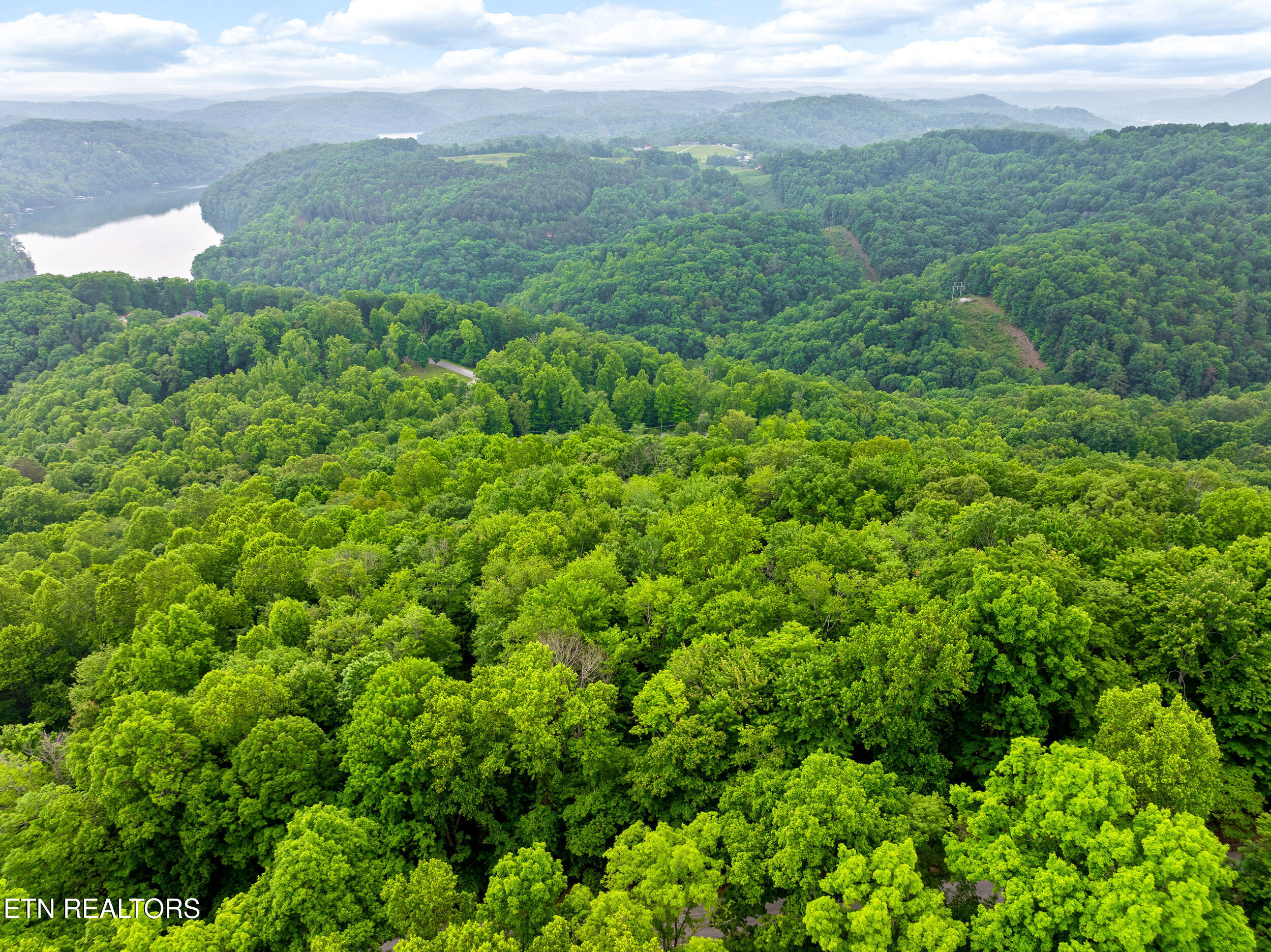 Running Deer Trail Caryville TN 37714