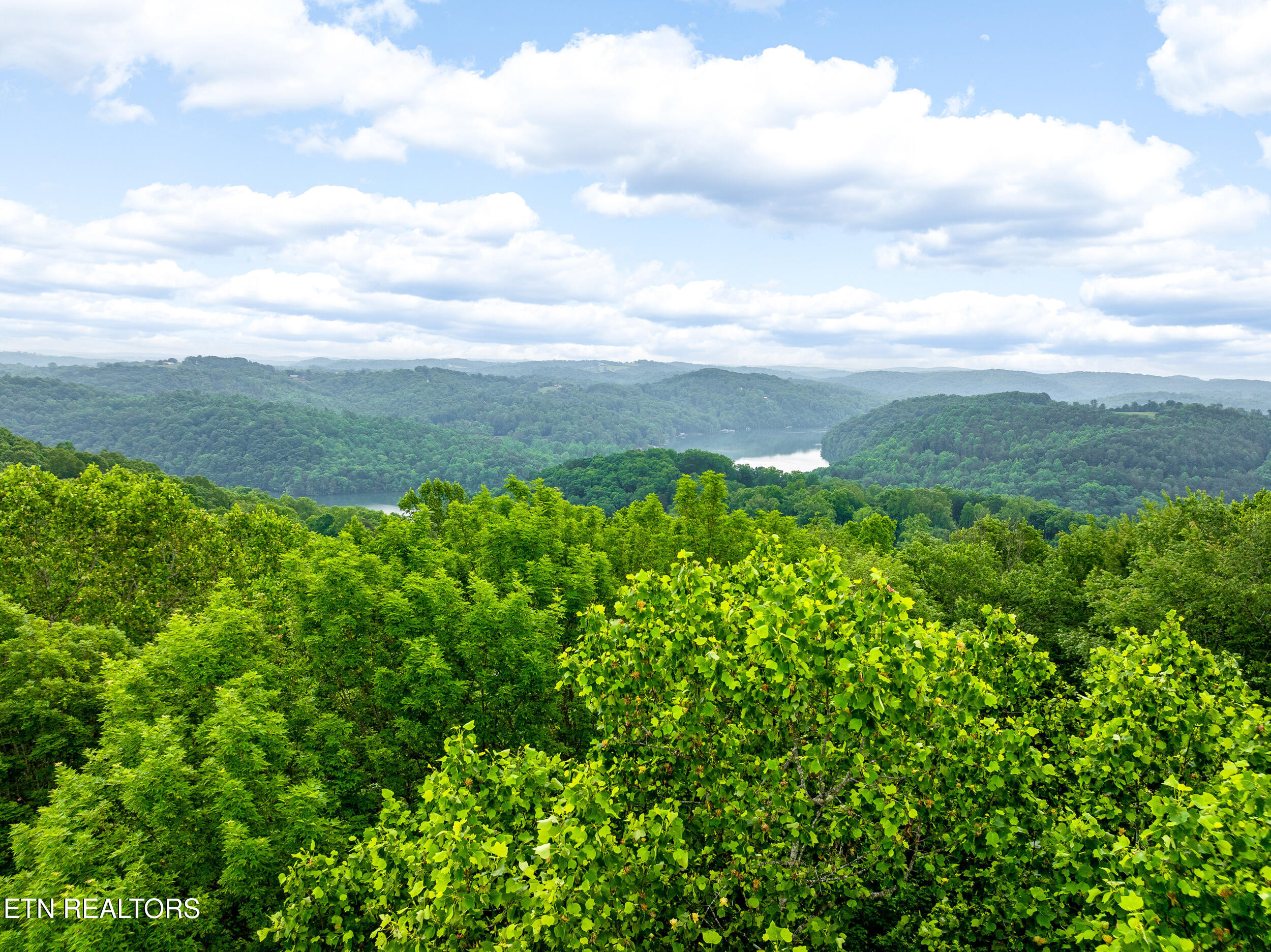 Running Deer Trail Caryville TN 37714