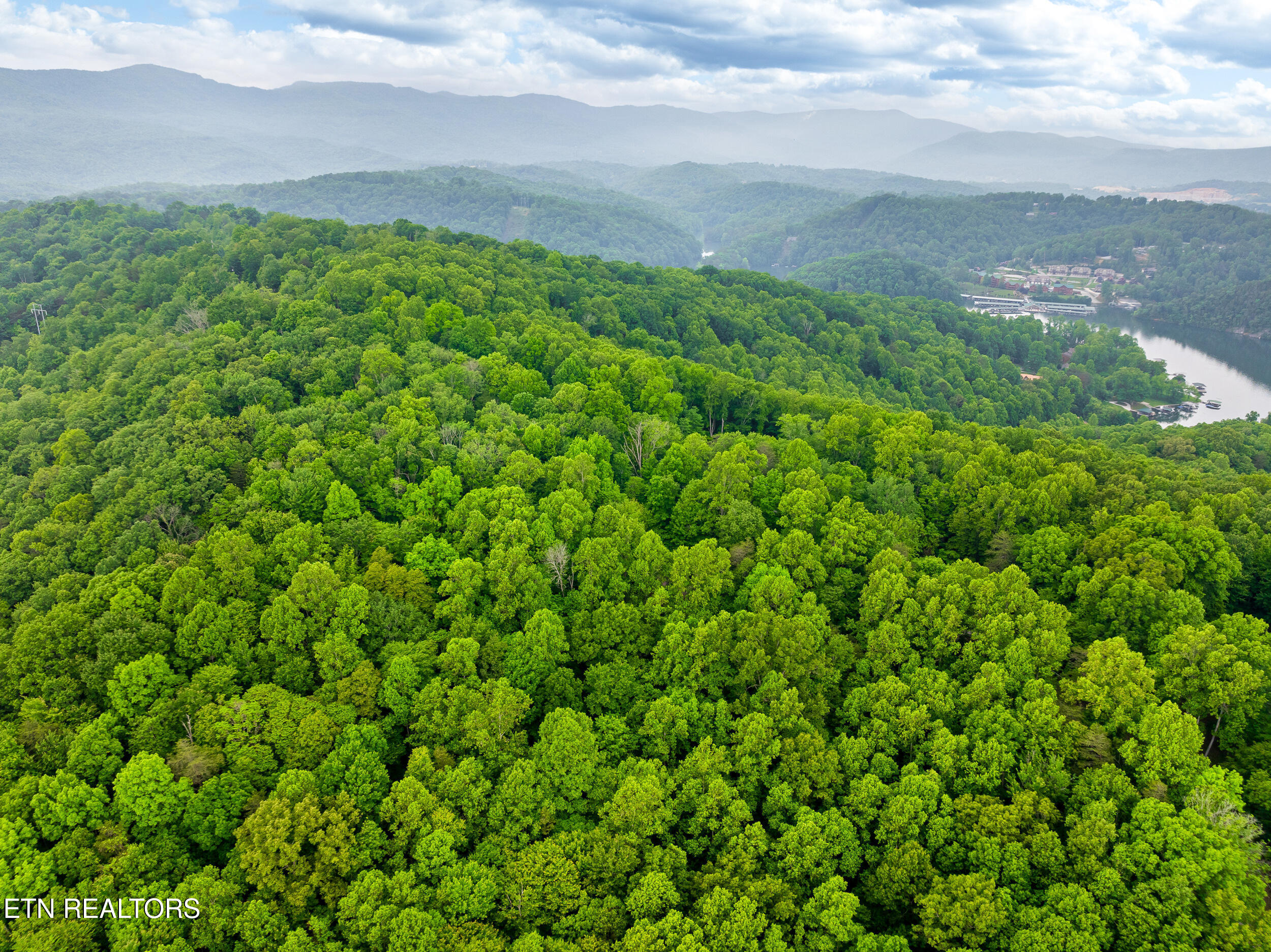 Running Deer Trail Caryville TN 37714