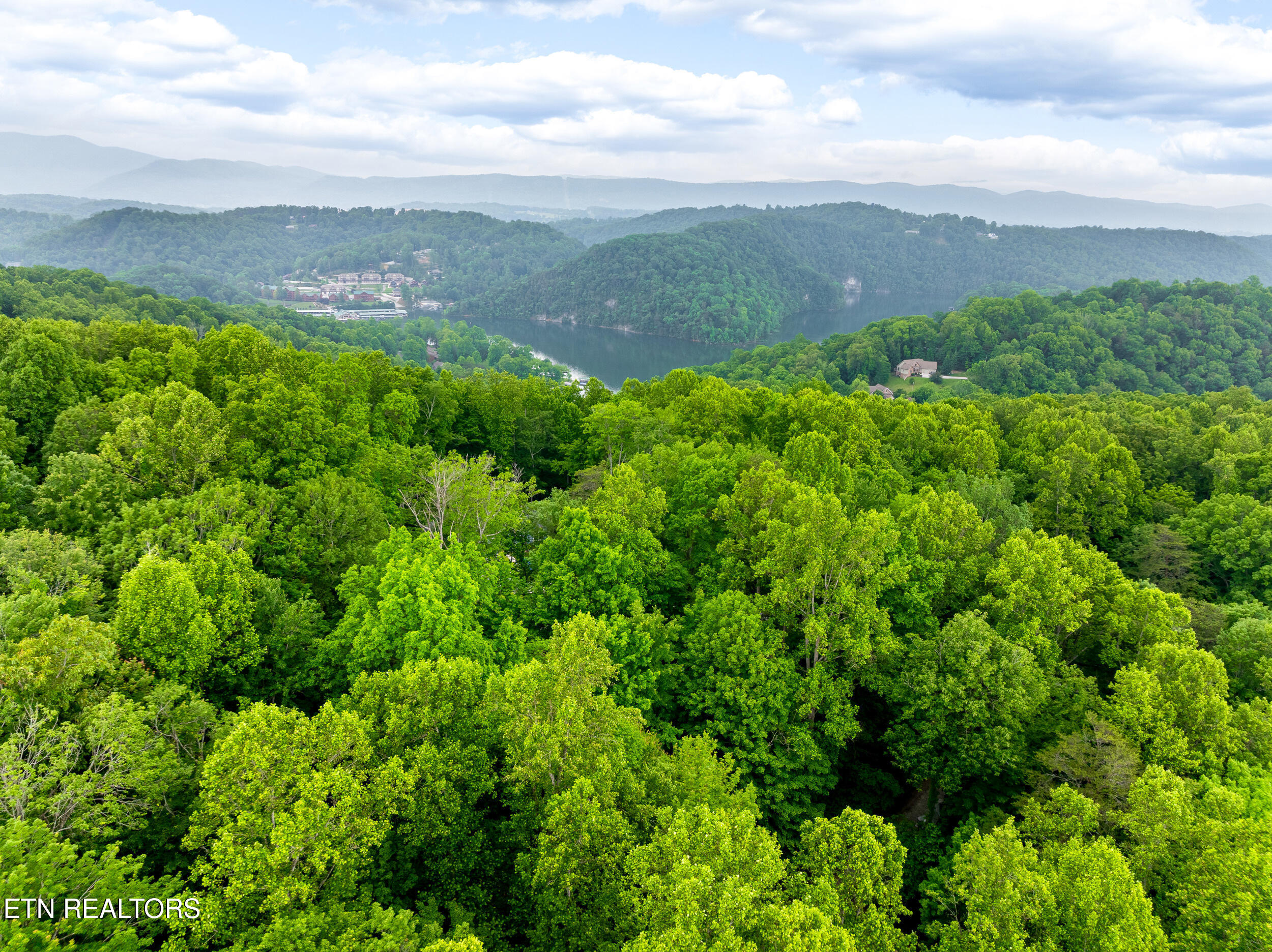 Running Deer Trail Caryville TN 37714