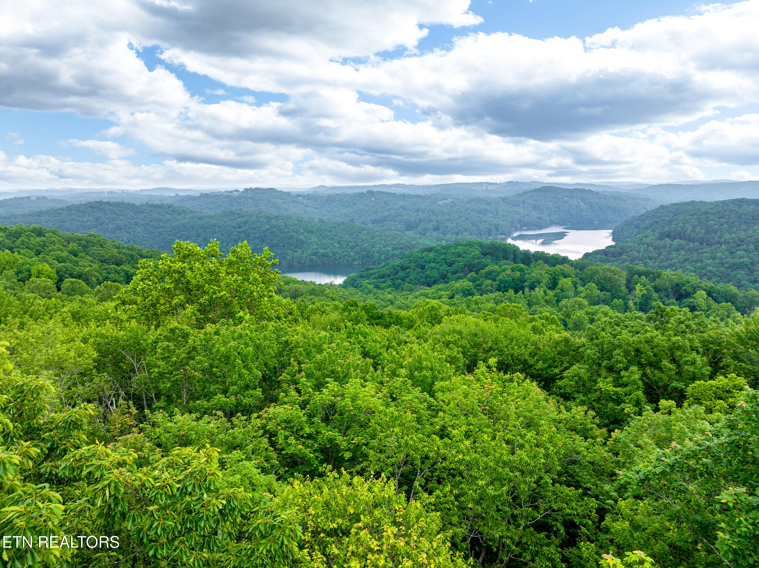 Running Deer Trail Caryville TN 37714