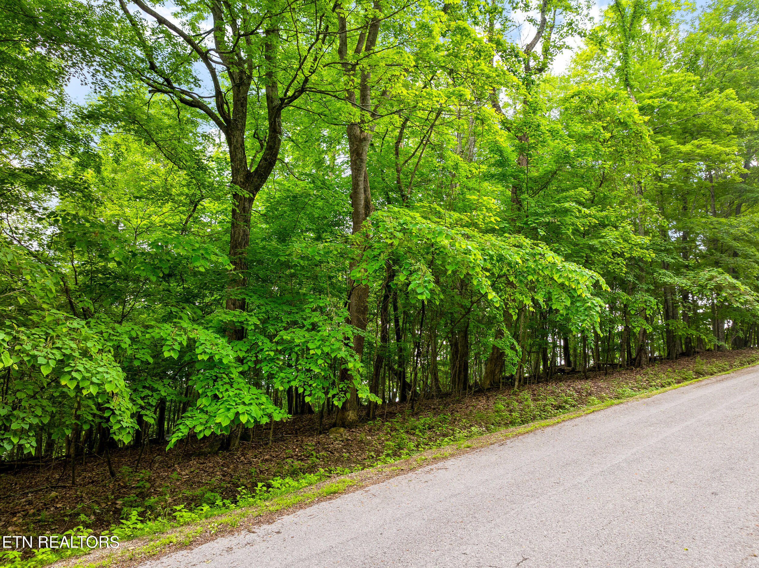 Running Deer Trail Caryville TN 37714