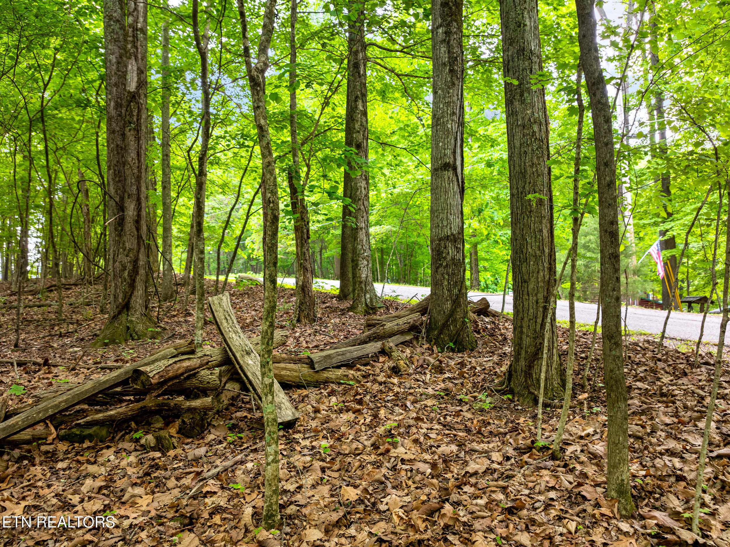 Running Deer Trail Caryville TN 37714