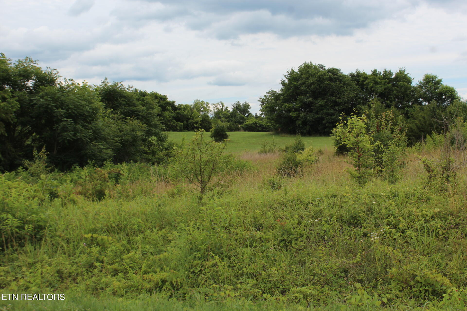 Baker Springs Road White Pine TN 37890