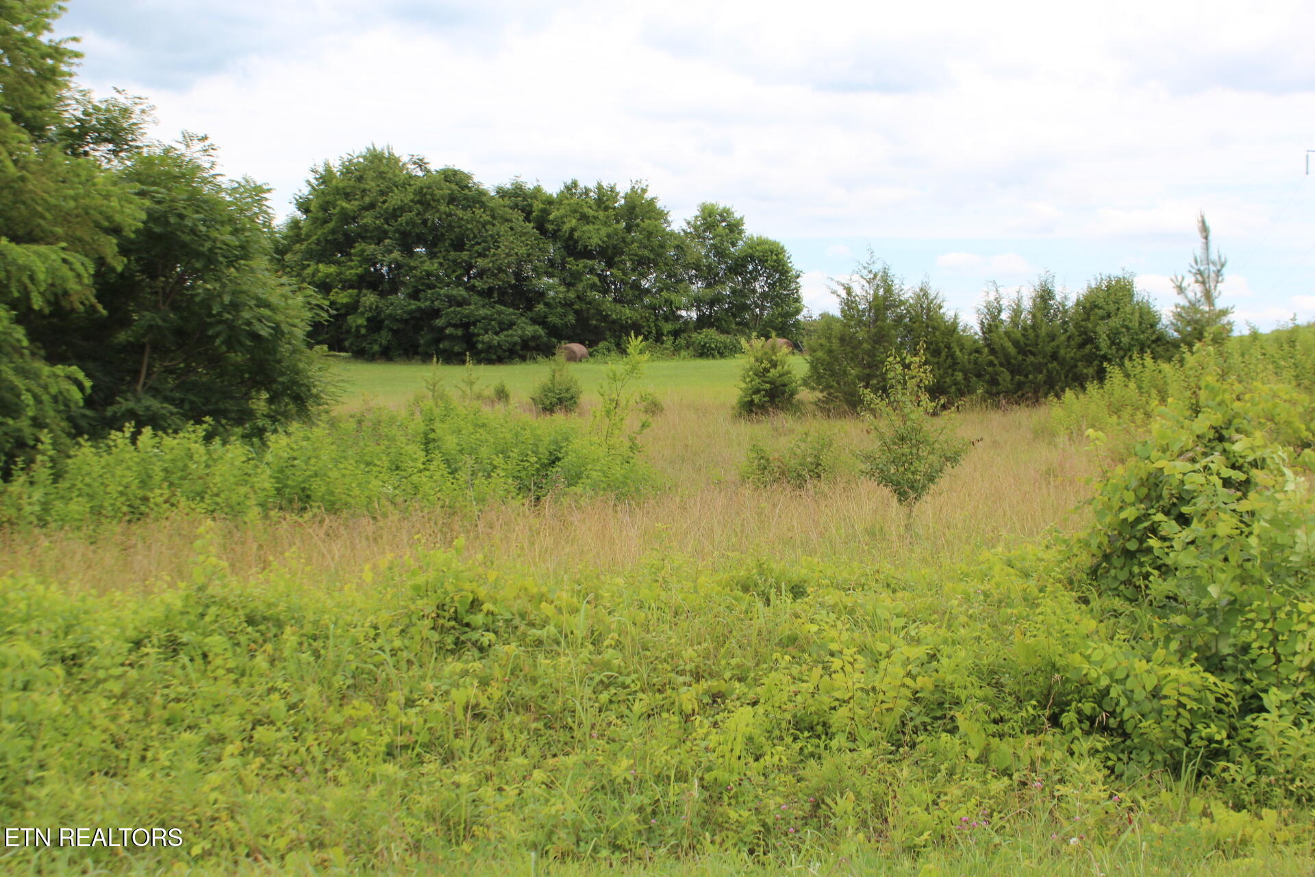 Baker Springs Road White Pine TN 37890