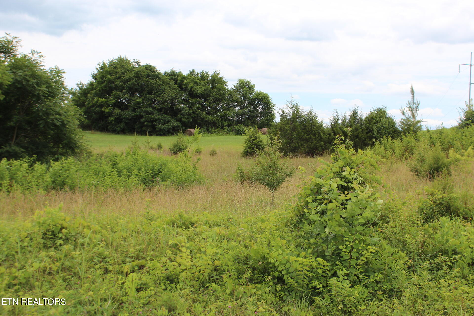 Baker Springs Road White Pine TN 37890