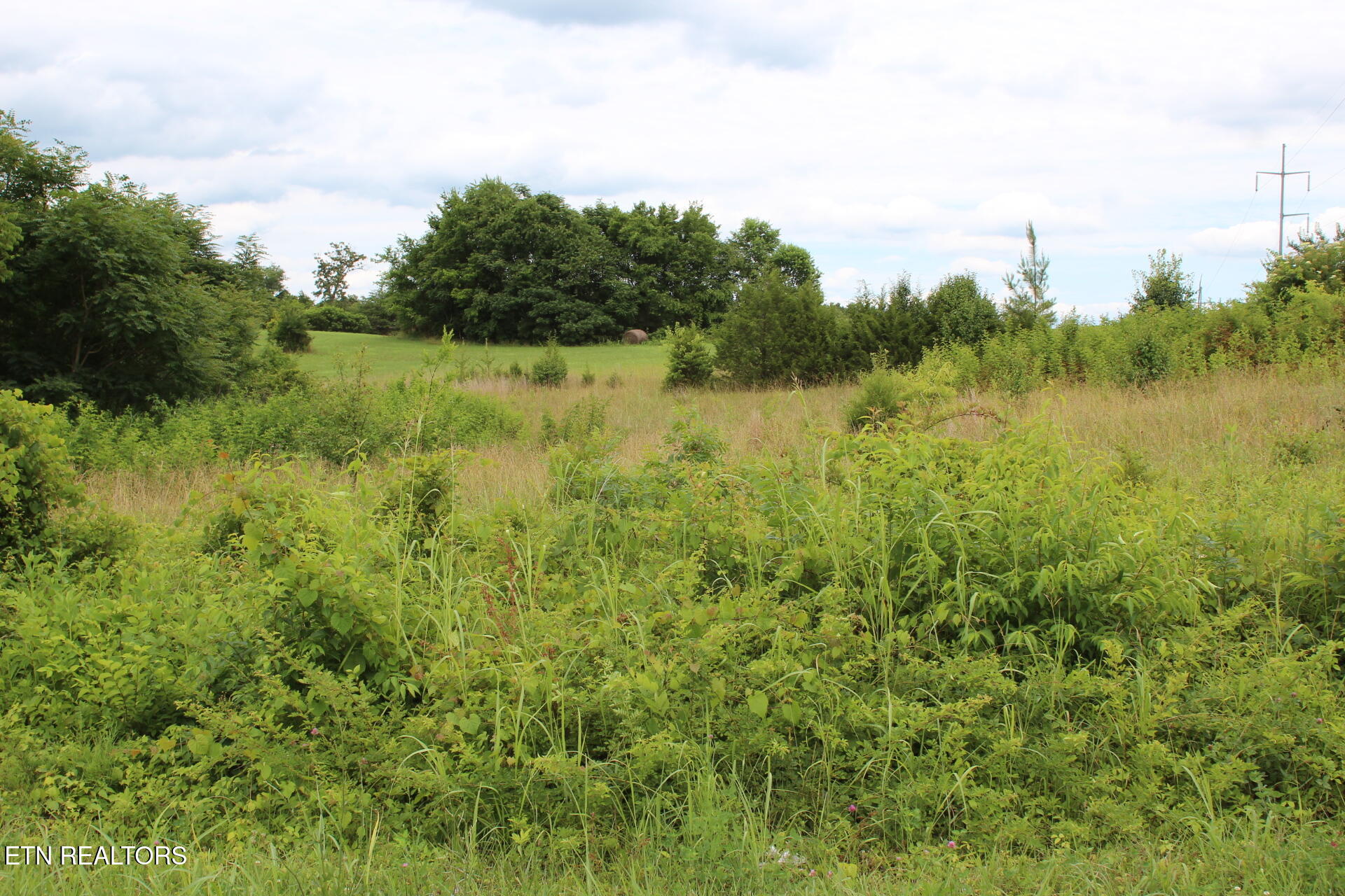 Baker Springs Road White Pine TN 37890