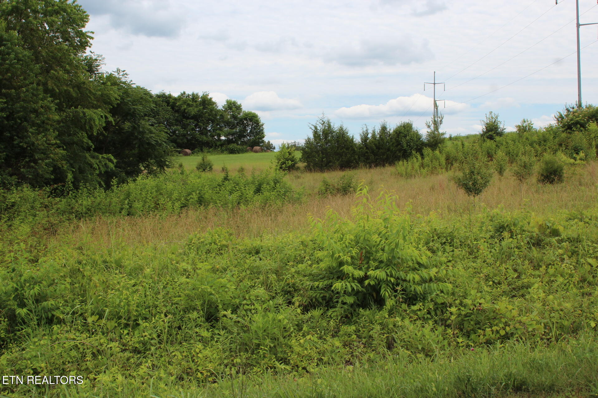 Baker Springs Road White Pine TN 37890