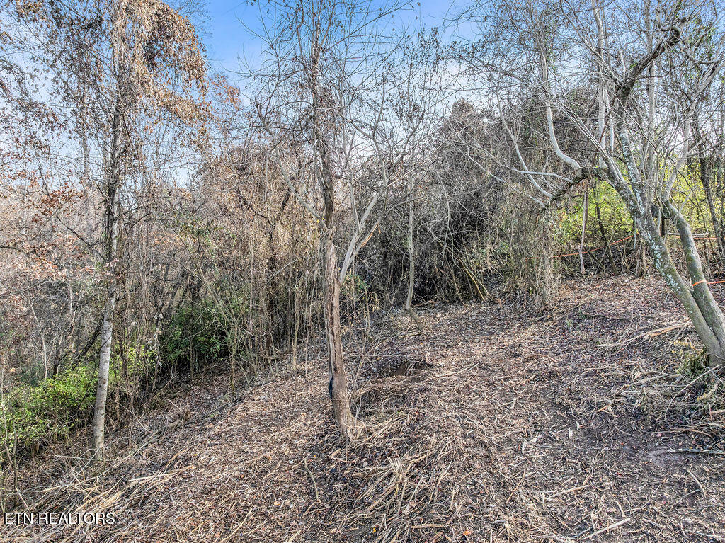 4125 Gravelly Hills Road Louisville TN 37777