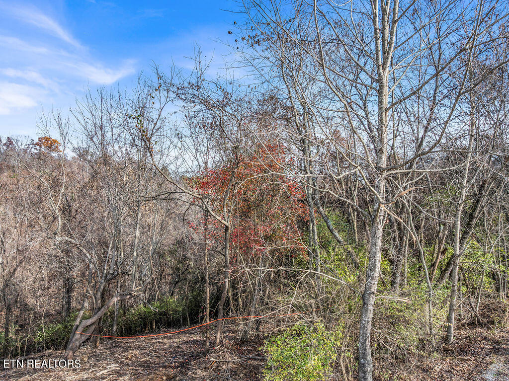 4125 Gravelly Hills Road Louisville TN 37777