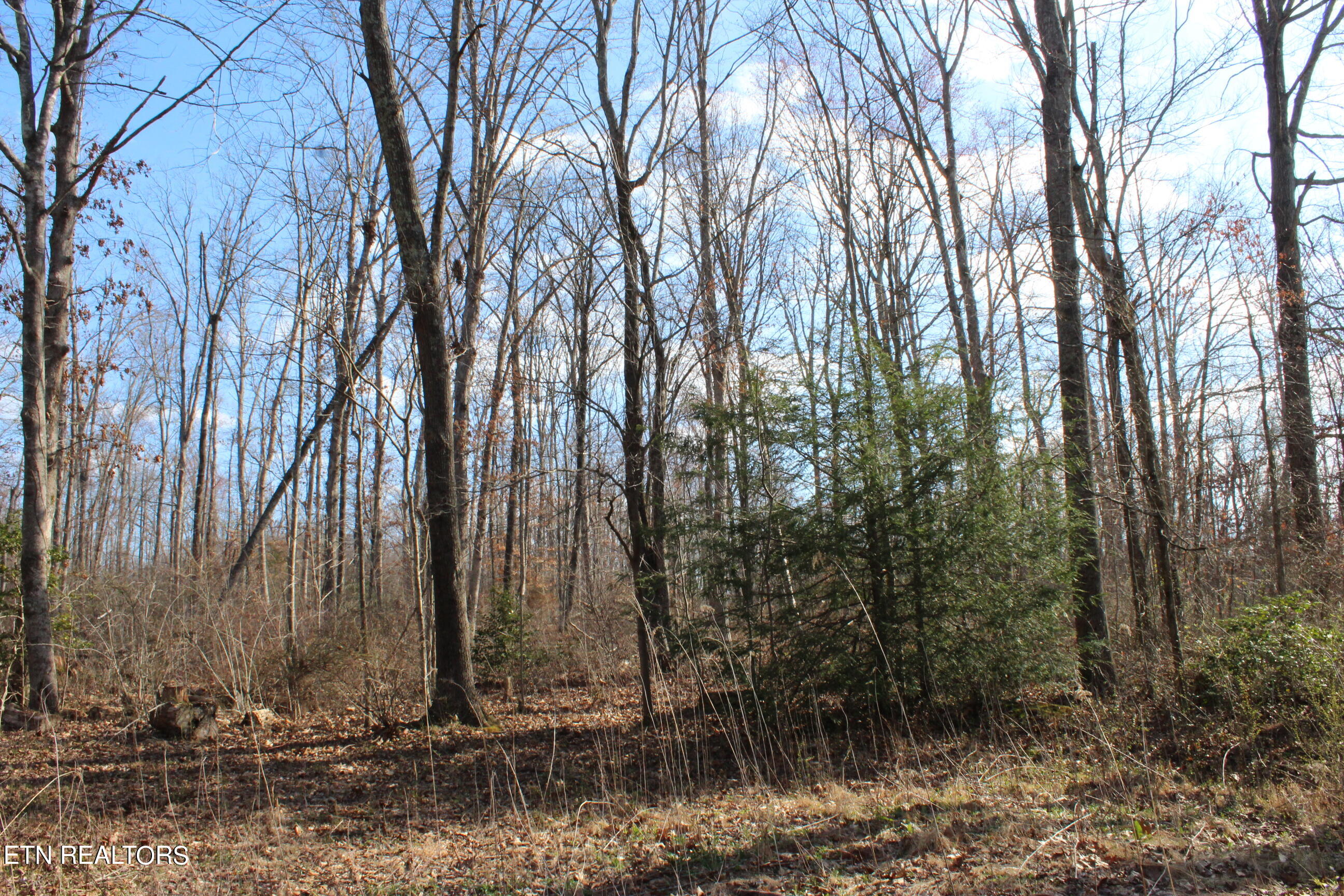 Fairgrounds Road Jamestown TN 38556