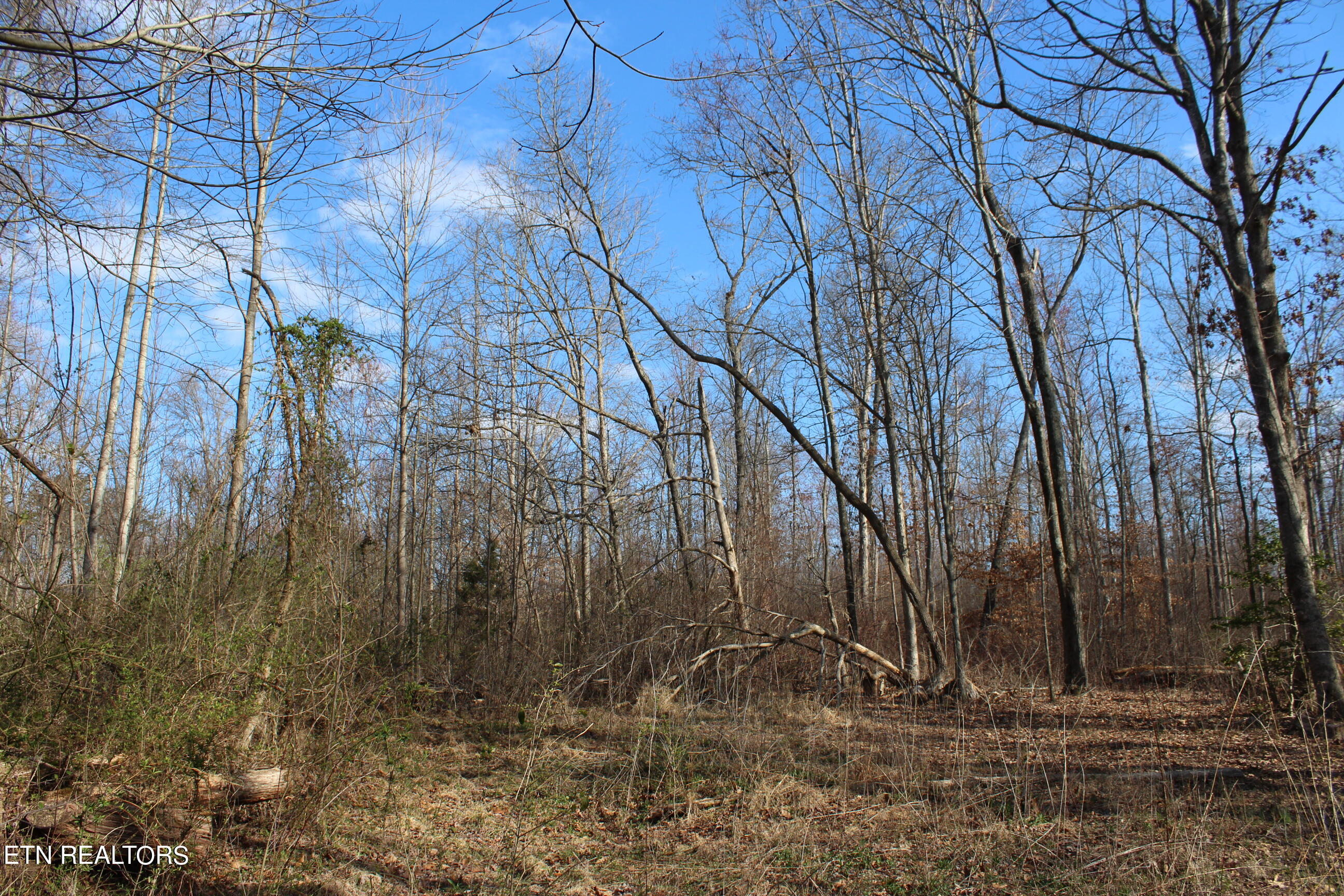 Fairgrounds Road Jamestown TN 38556