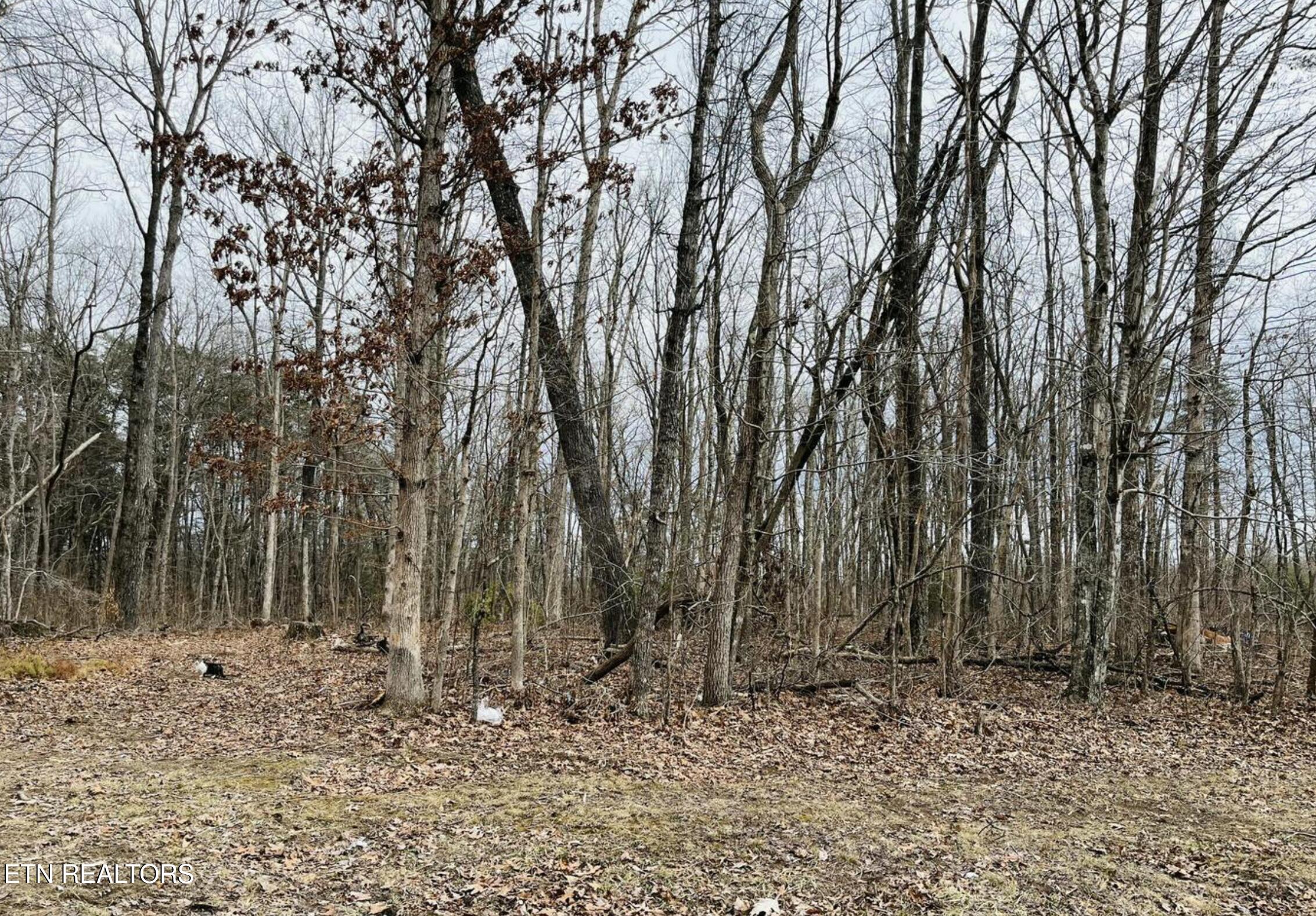 Diane Circle Crossville TN 38572