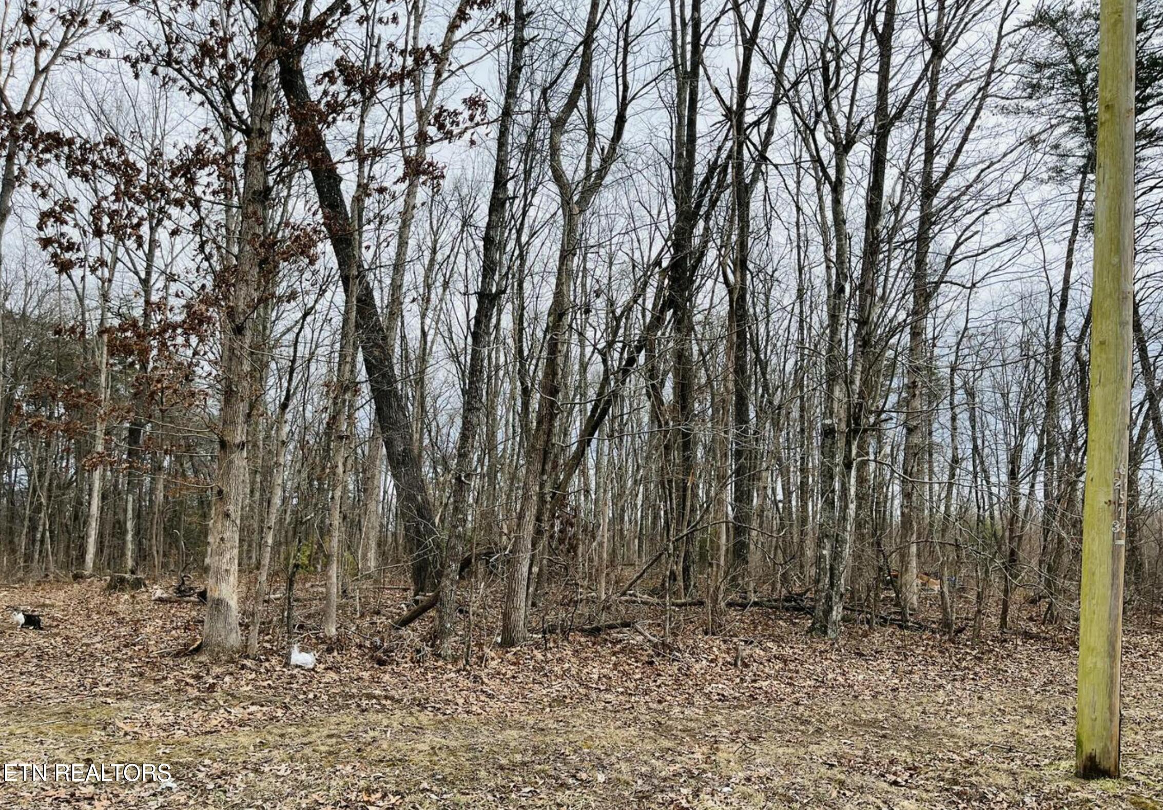 Diane Circle Crossville TN 38572