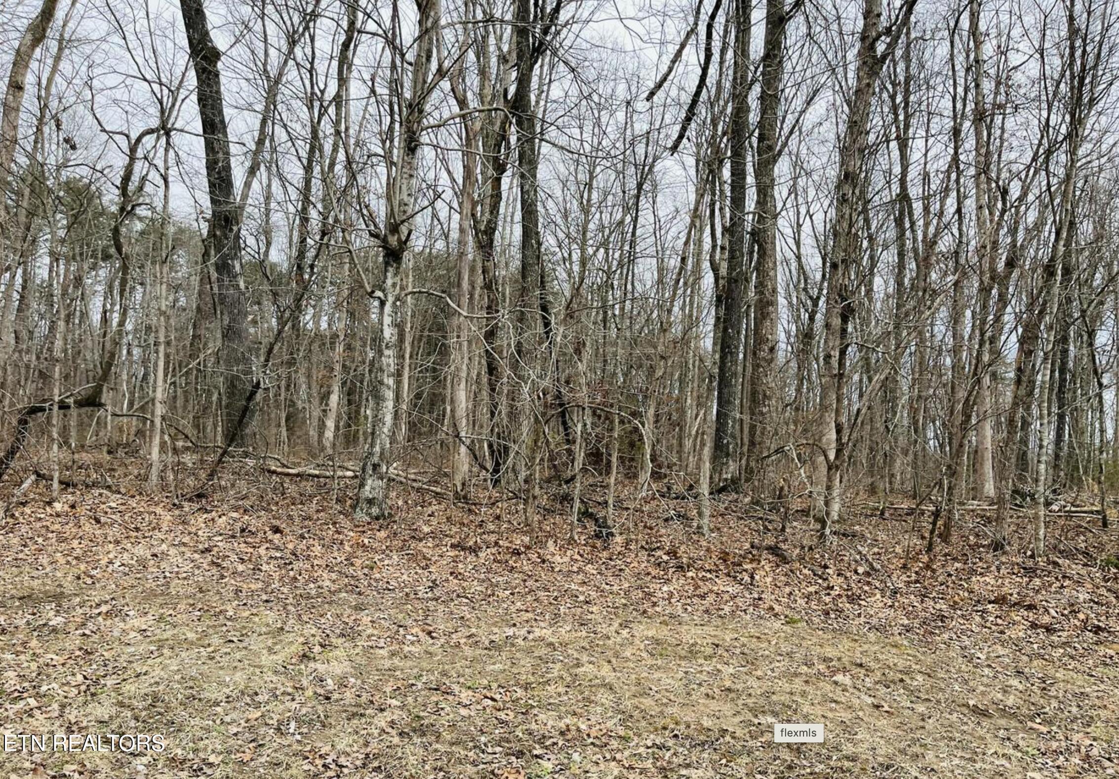 Diane Circle Crossville TN 38572