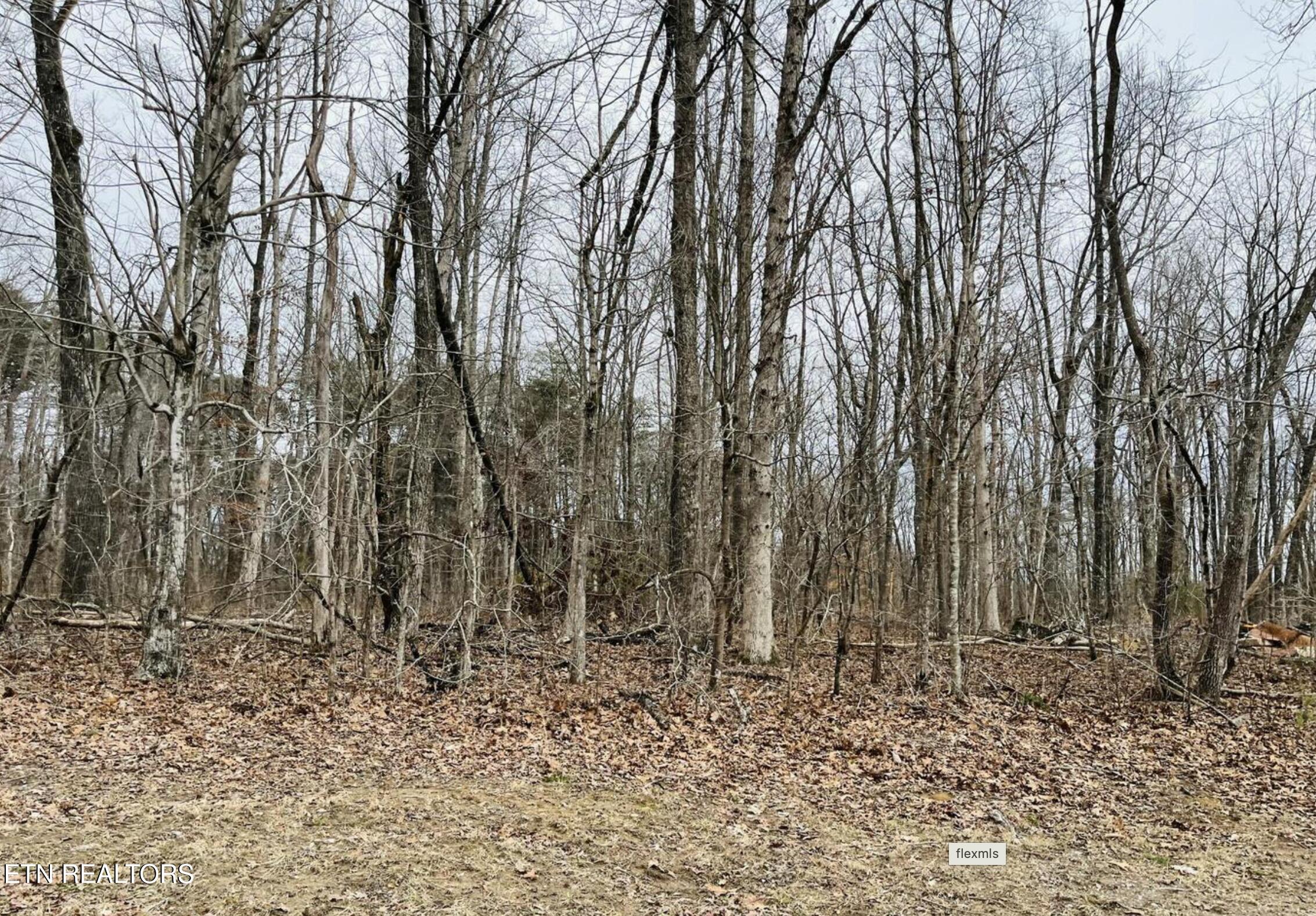 Diane Circle Crossville TN 38572
