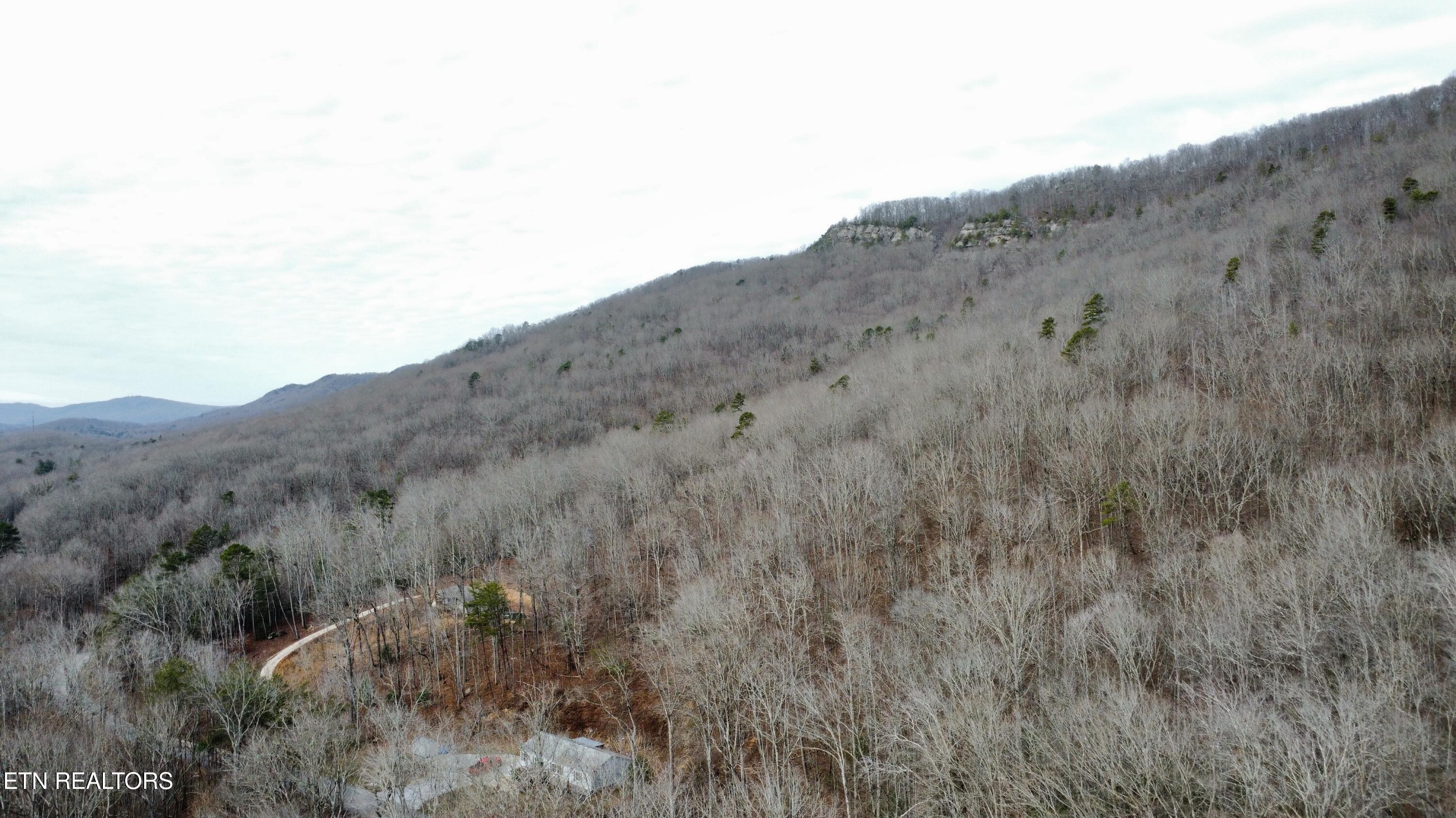 111 Scenic Drive Harriman TN 37748