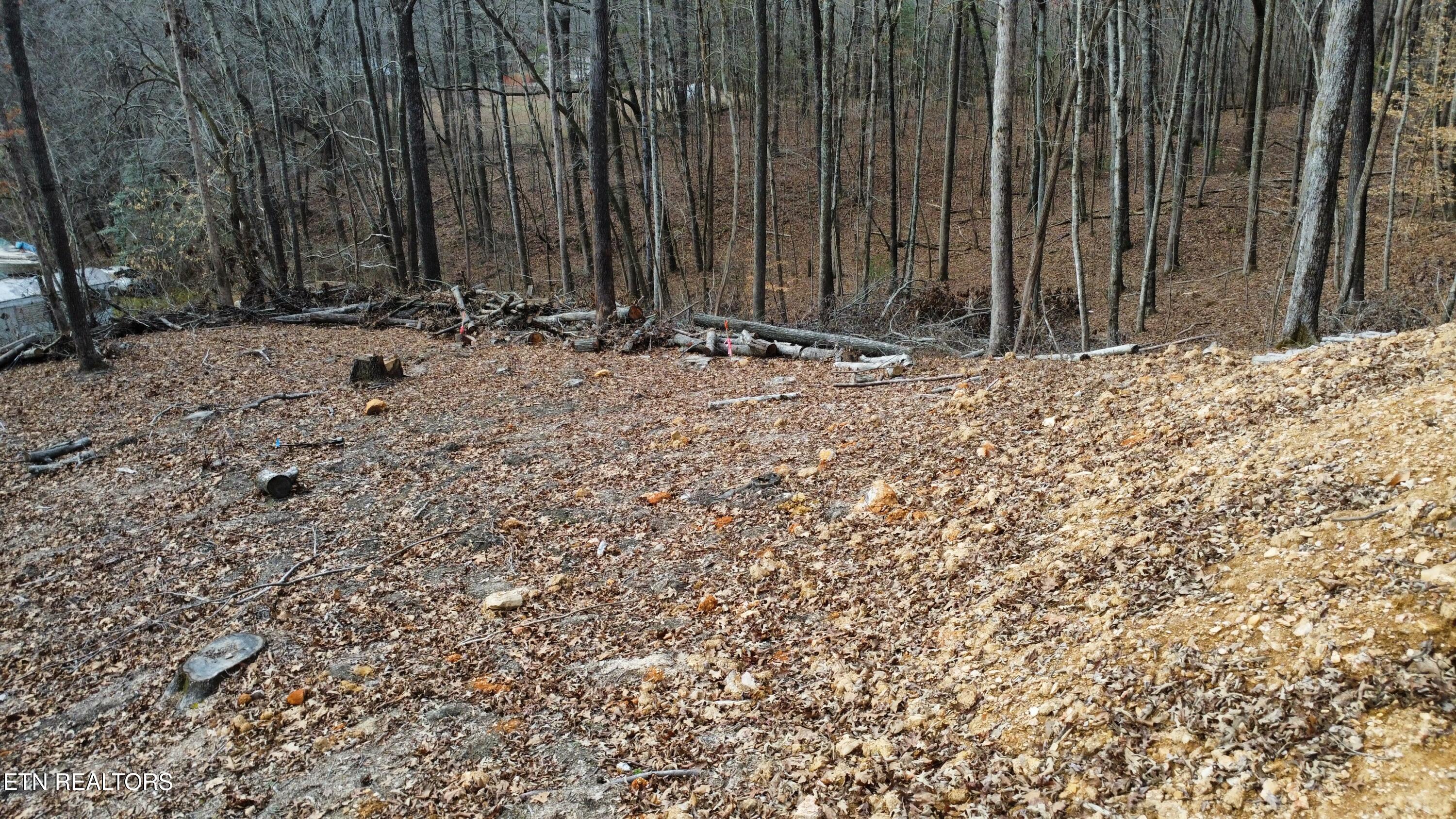 111 Scenic Drive Harriman TN 37748