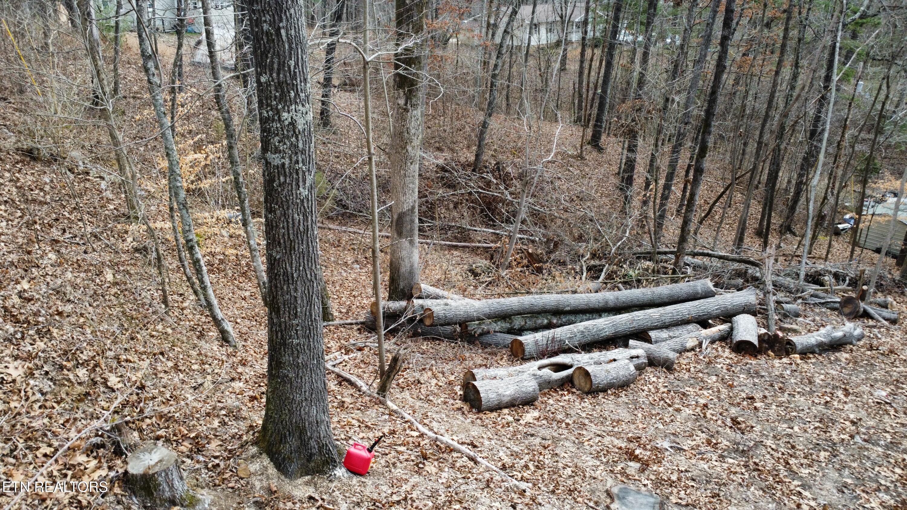 111 Scenic Drive Harriman TN 37748