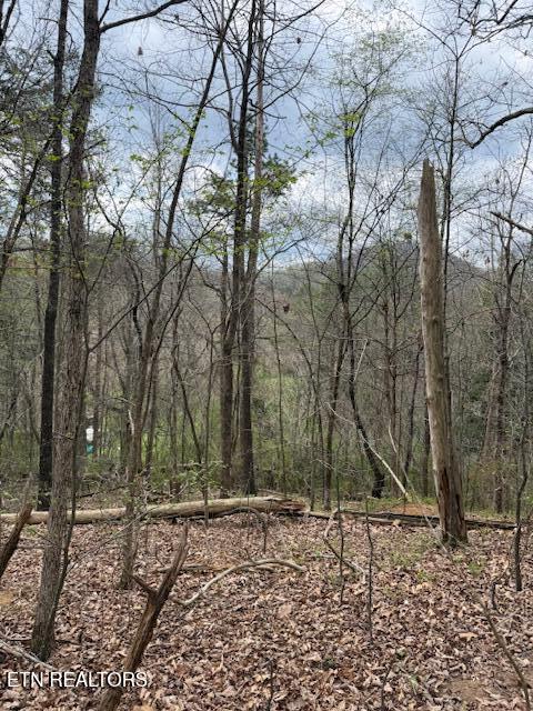 151 Hennessey Mtn / Brisk Way Cosby TN 37722