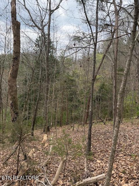 151 Hennessey Mtn / Brisk Way Cosby TN 37722