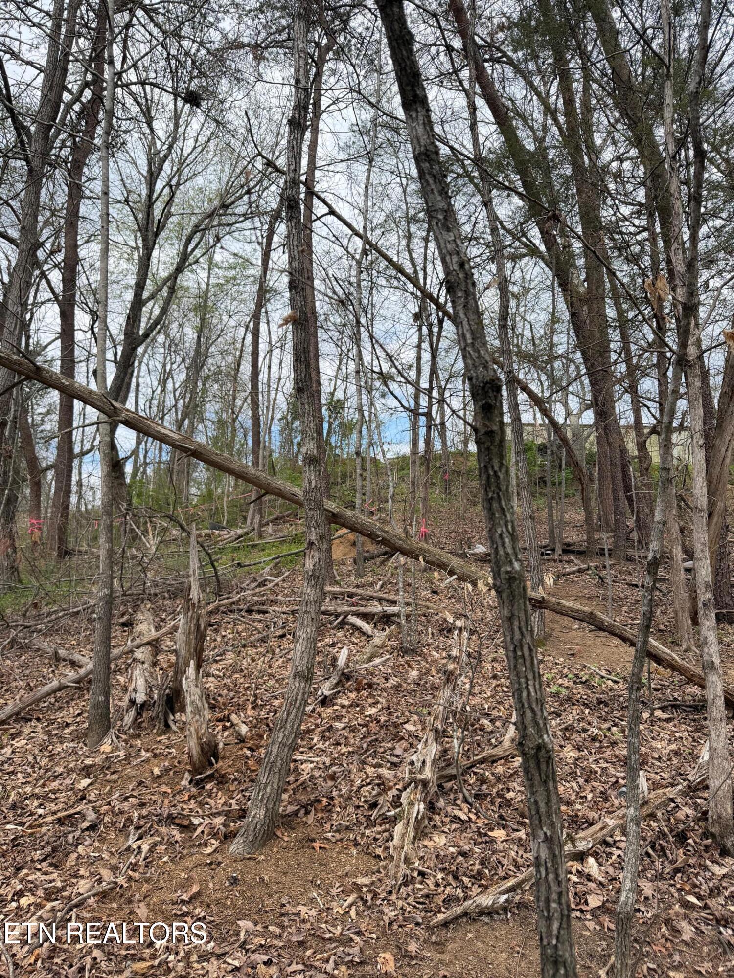 151 Hennessey Mtn / Brisk Way Cosby TN 37722