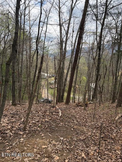 151 Hennessey Mtn / Brisk Way Cosby TN 37722