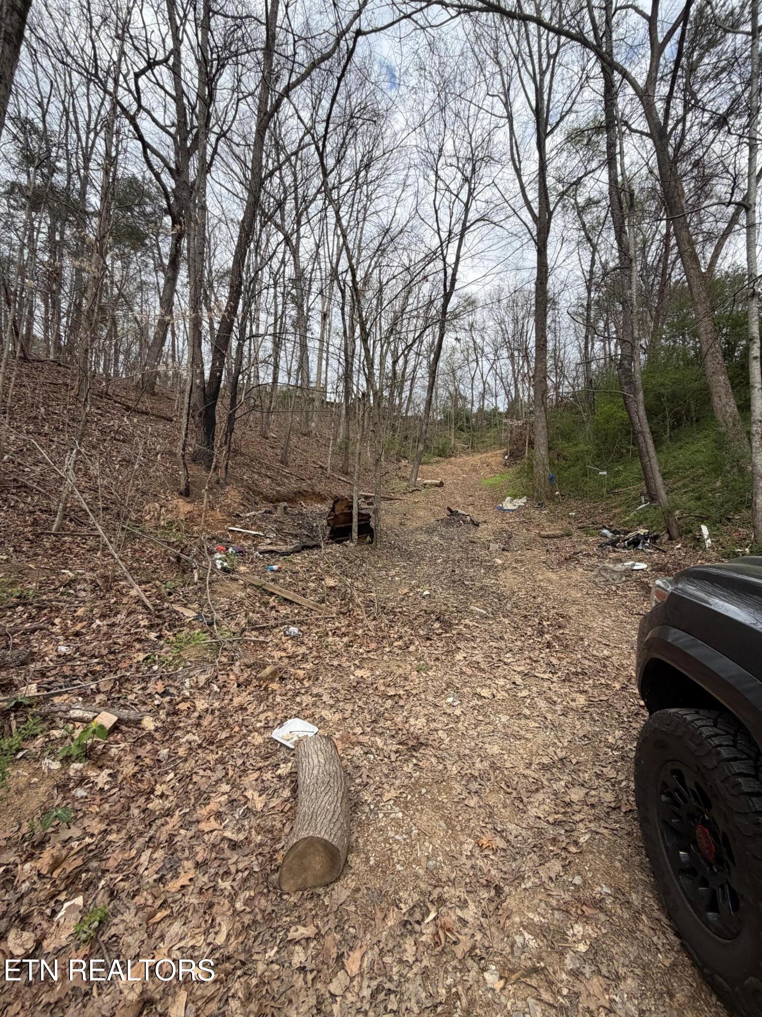 151 Hennessey Mtn / Brisk Way Cosby TN 37722