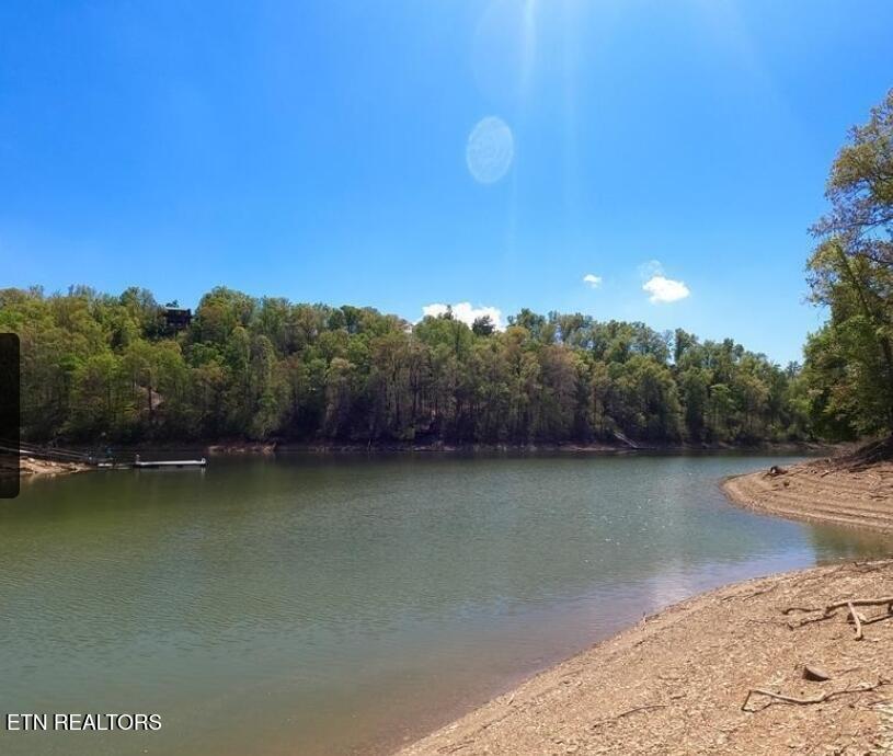 Stone Harbor Drive Dandridge TN 37725