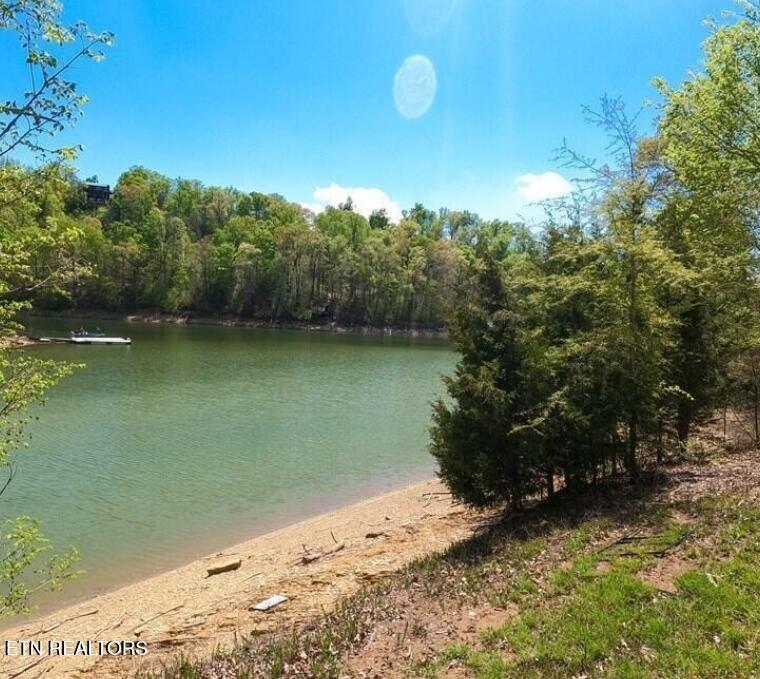 Stone Harbor Drive Dandridge TN 37725