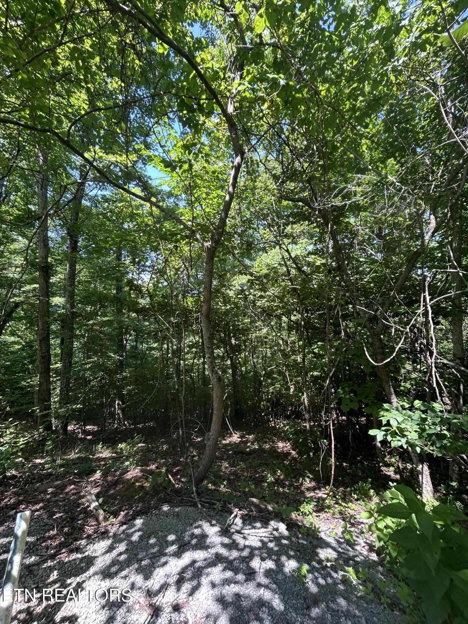 Lot 713 Russell Brothers Sharps Chapel TN 37866