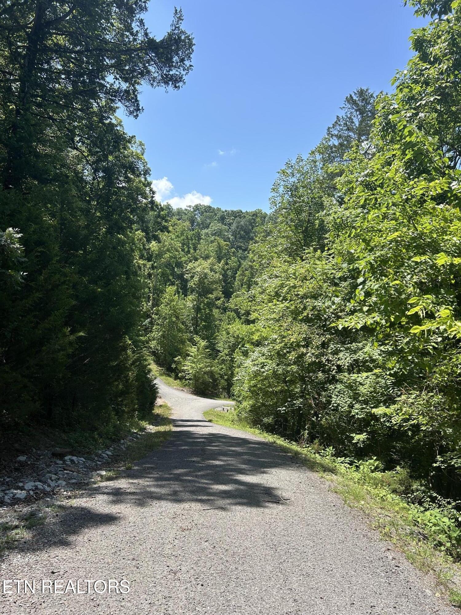 Lot 713 Russell Brothers Sharps Chapel TN 37866