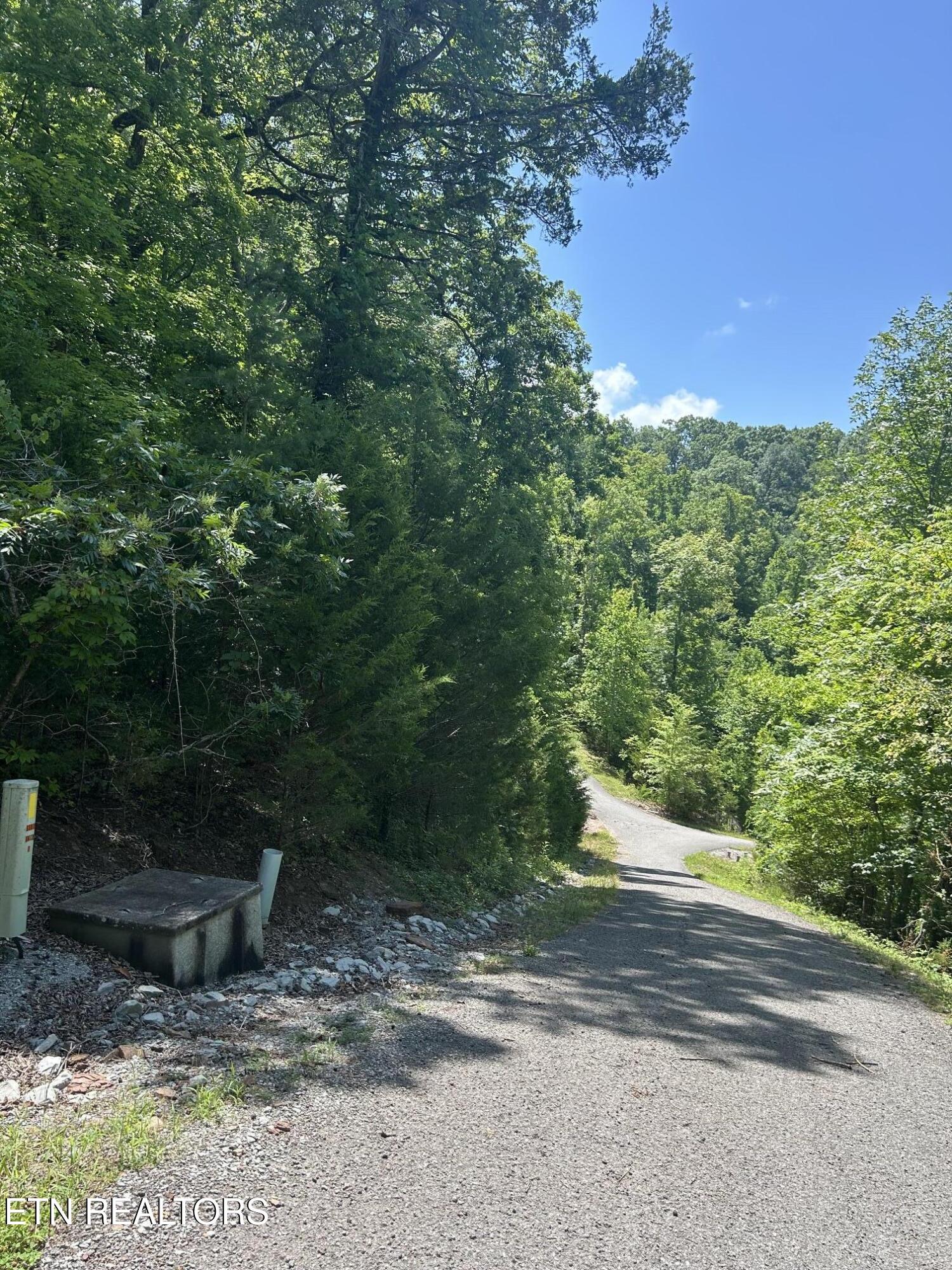Lot 713 Russell Brothers Sharps Chapel TN 37866