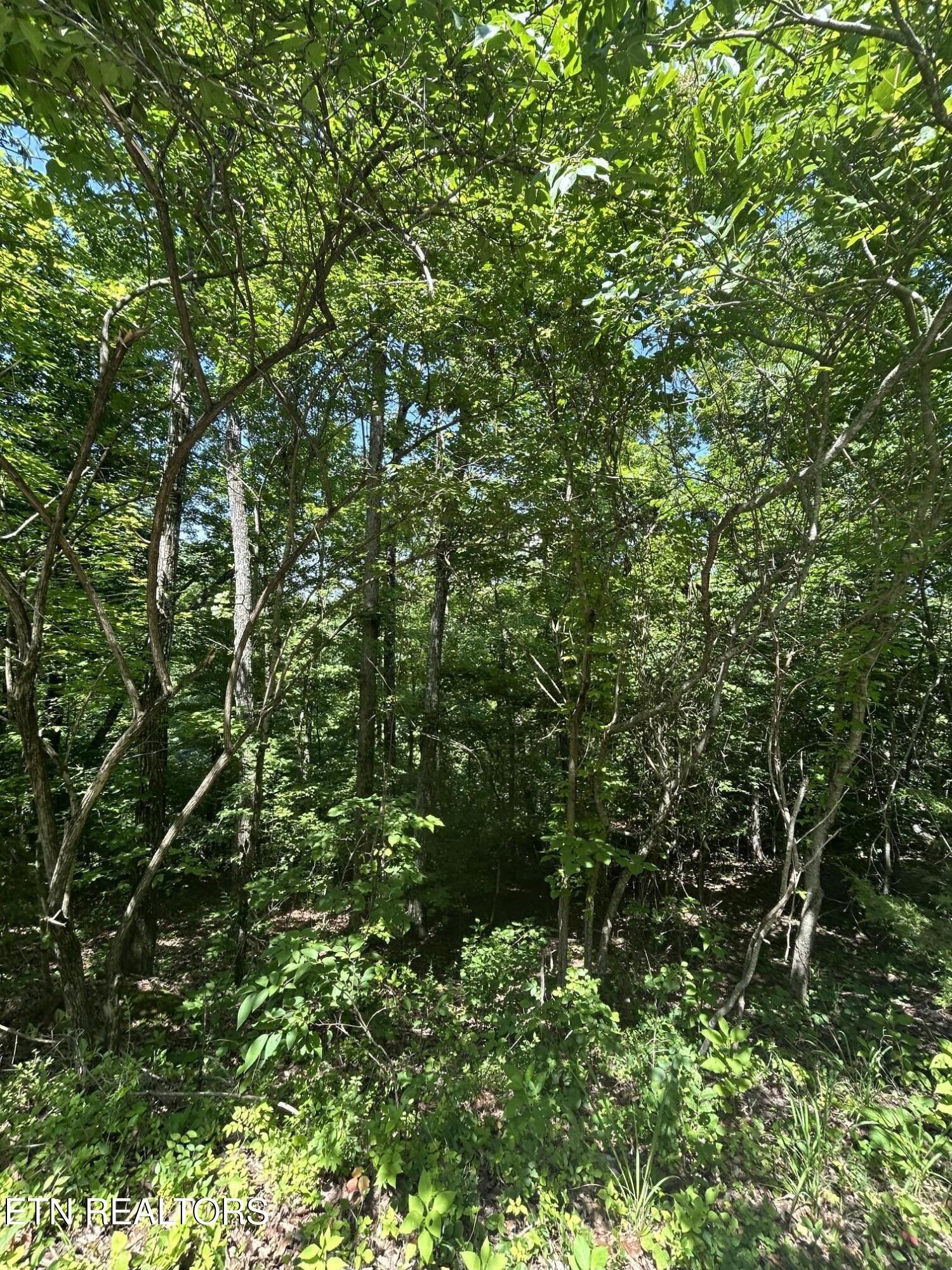 Lot 713 Russell Brothers Sharps Chapel TN 37866